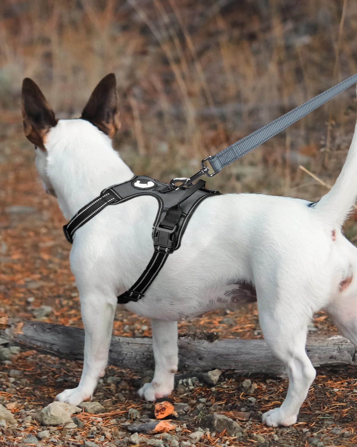 Joytale Double-Sided Reflective Dog Leash, 6 Ft/5 Ft/4 Ft, Padded Handle Nylon Dogs Leashes For Medium & Large Dogs Walking, Gray, 5Ft