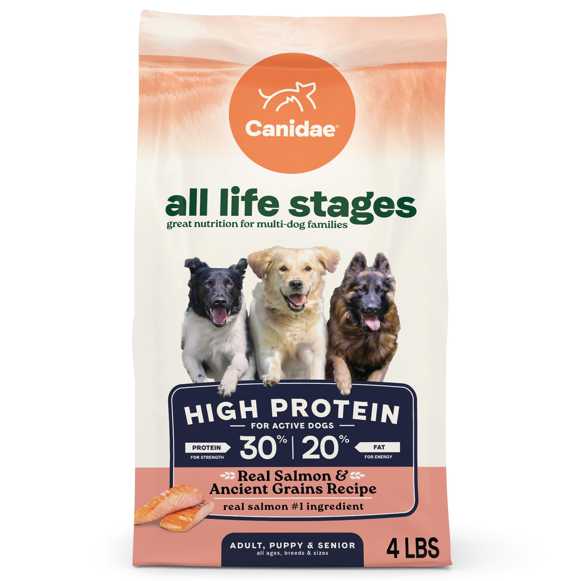 Canidae All Life Stages High Protein Dry Dog Food, Salmon & Ancient Grains Recipe, 4 lbs.