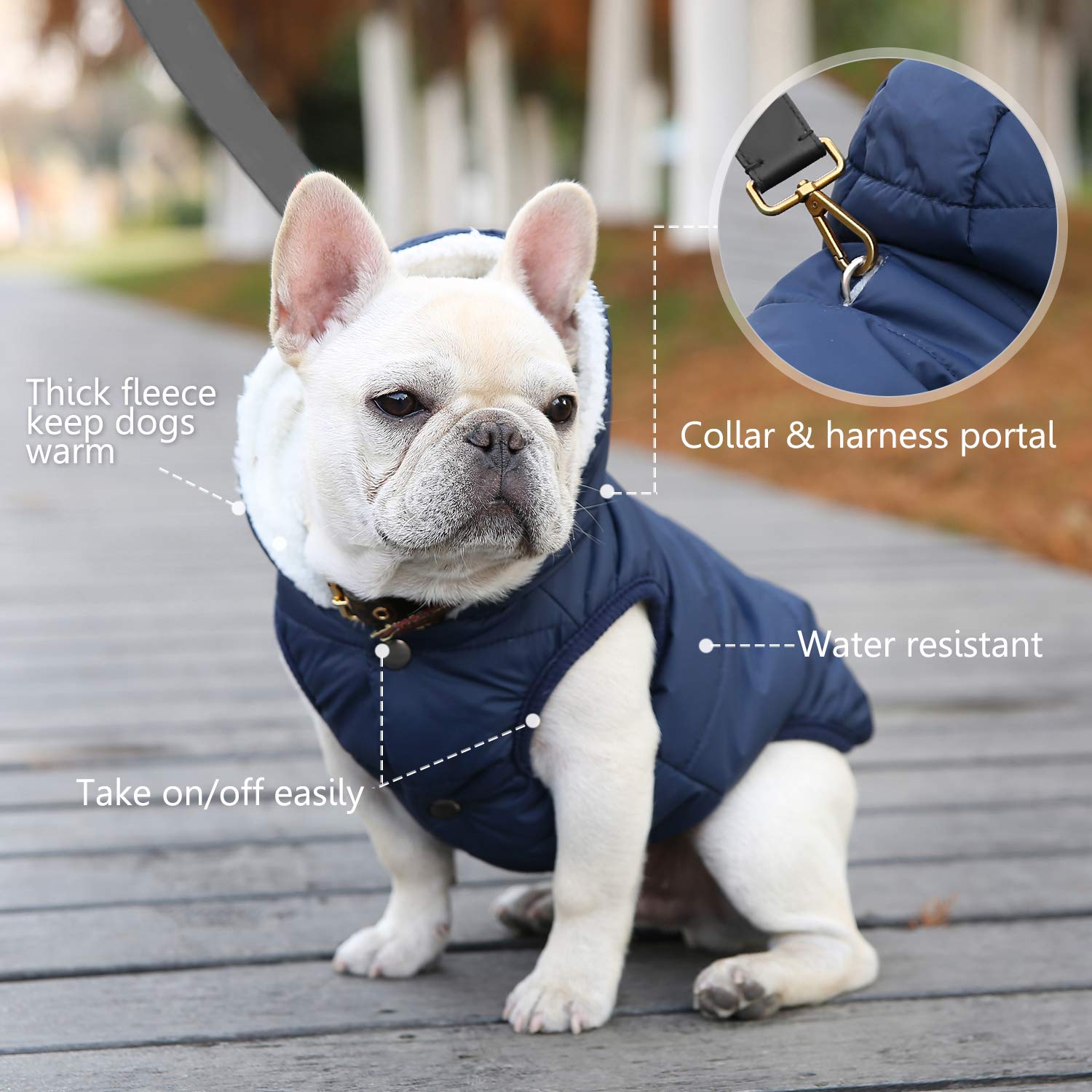 Dog Fleece Hoodie, Windproof Waterproof Dog Coat Fleece & Cotton Lined Warm Dog Jacket, Cold Weather Pet Apparel Clothes Vest For Small Medium Large Dog (M: Length 12.6', Chest 15'-17.3', Blue)