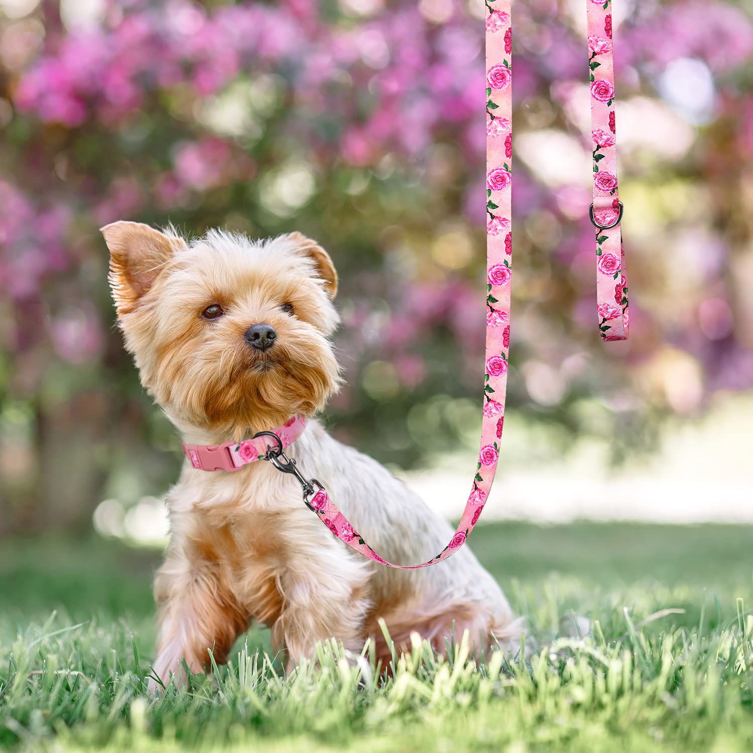 5 Ft/Foot Pink Dog Leash For Girl Medium Breed Dogs