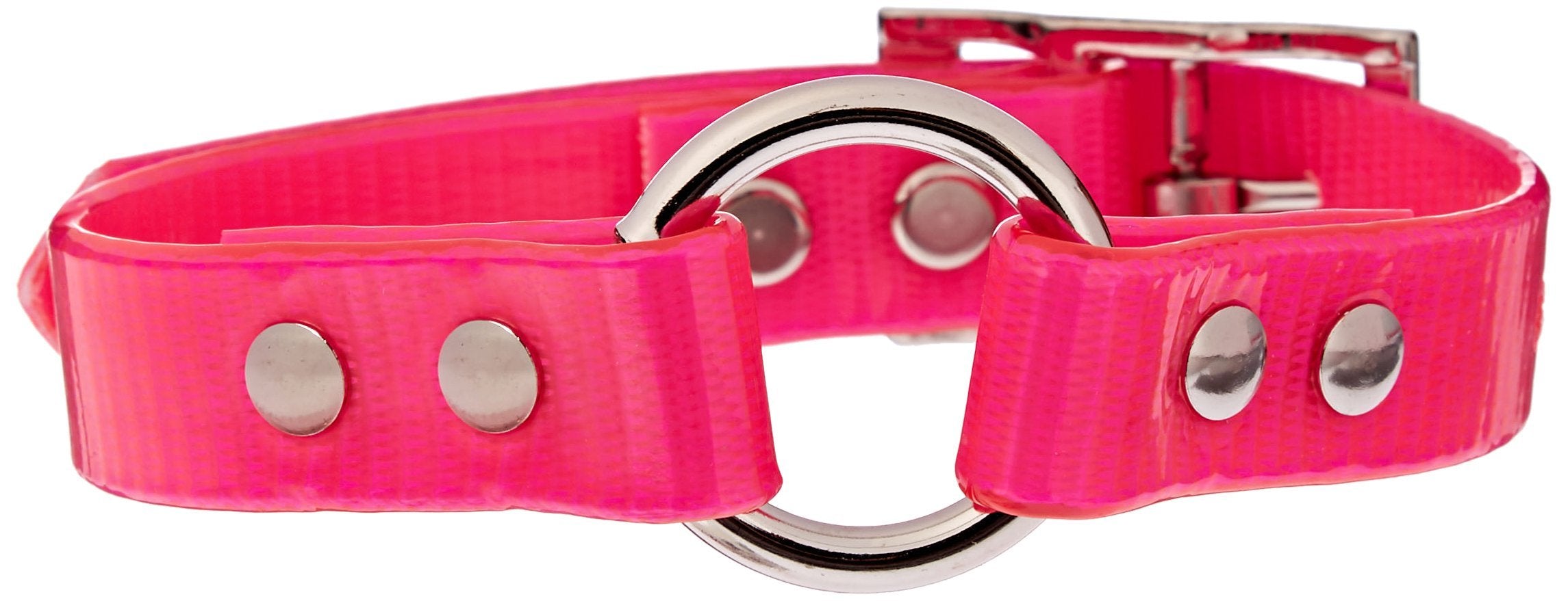 Omnipet Sunglo Ring-In-Center Dog Collar, 3/4' Wide, Pink, Fits 9'- 12.5' Neck Sizes, Vibrant Colors & Tough Construction For