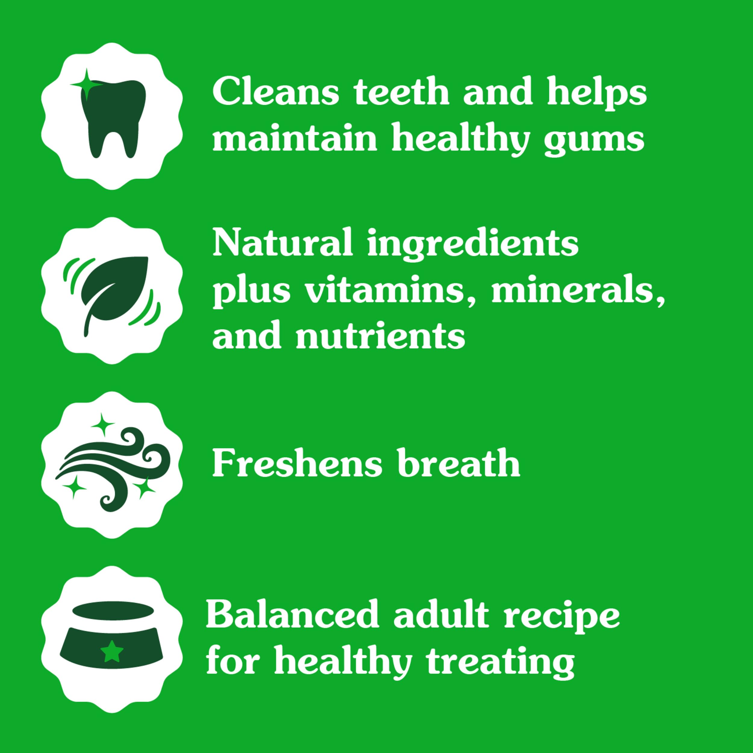 Greenies Petite Natural Dog Dental Care Chews Oral Health Dog Treats, Pumpkin Spice Flavor, 12 oz. (20 Treats)