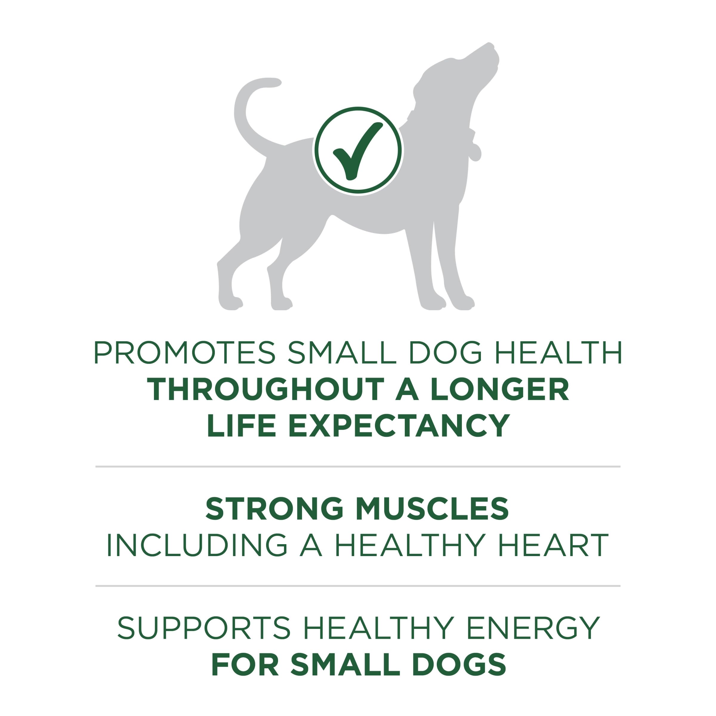 Purina ONE Plus Small Breed Lamb and Rice Formula Dry Dog Food - 3.8 lb. Bag