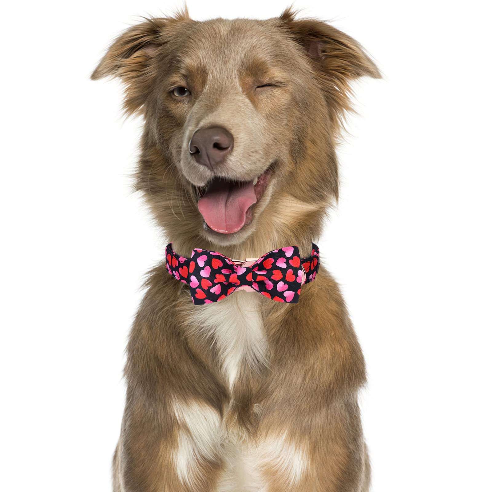Mr. Chubbyface Valentine'S Dog Collar With Bowtie, Cute Black Heart Dog Collar With Metal Buckle, Adjustable Cotton Collar For S