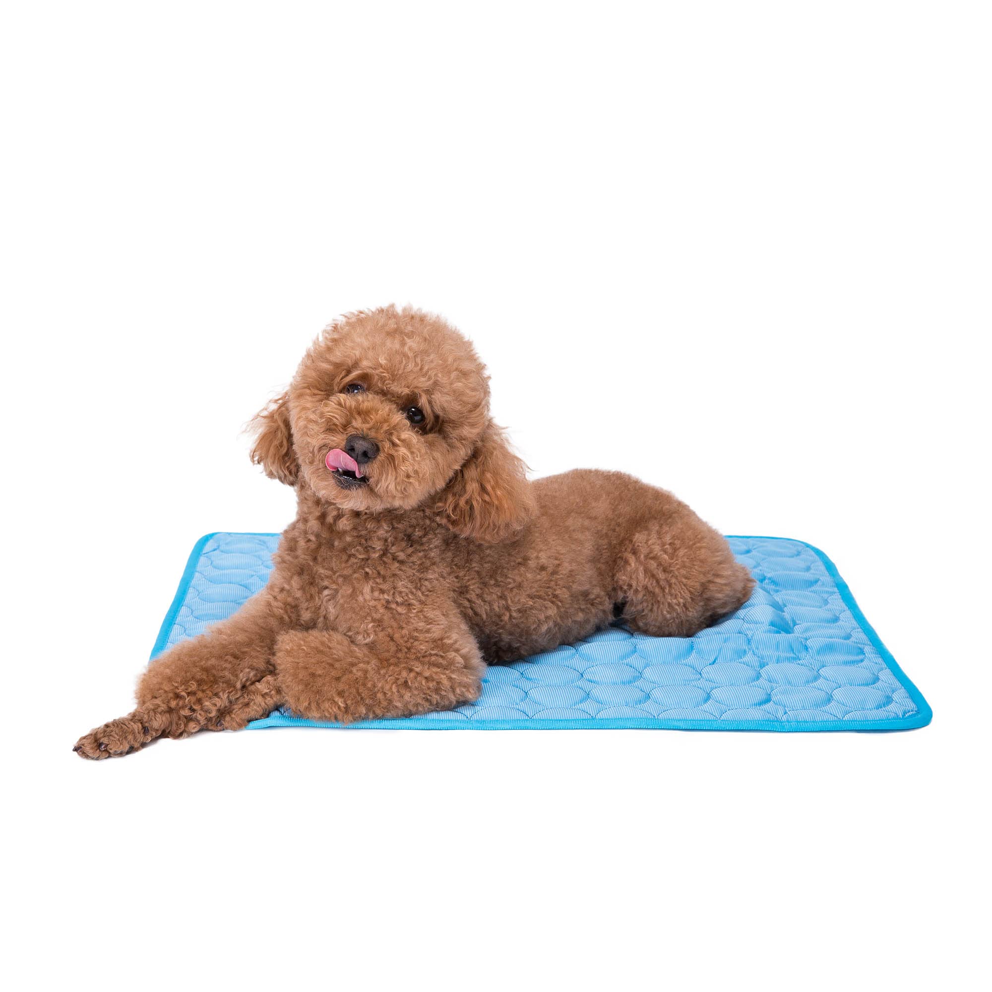 Faith Force Pet Cooling Mat  Ice Silk Cooling Mat for Dogs & Cats, Portable & Washable Pet Cooling Blanket for Outdoor, Car Sea