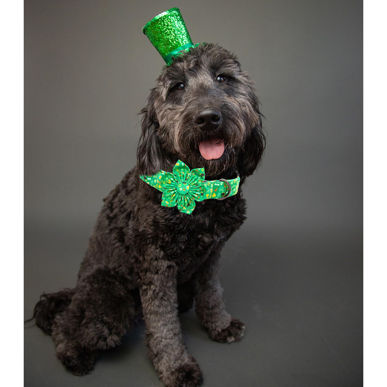 Lionheart Glory St. Patrick'S Day Collar With Flower Design For Medium Dogs, Green Collar With Lucky Clover Shamrock Pattern, He