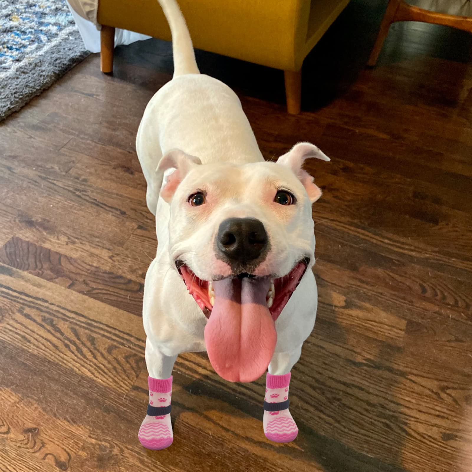 Expawlorer 3 Pairs Anti-Slip Dog Socks - Double Side Large Coverage Non-Slip That Works Even When Twisted, Soft Paw Protector, Prevents Licking, Slipping, Better Control For Indoor On Wooden Floor