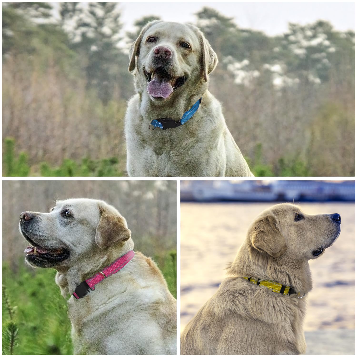 Petjoy 3-Pack Replacement Straps For Shock & E Collars - Durable Nylon Adjustable Dog Collars, 8-27 Inches, Quick Release Buckle