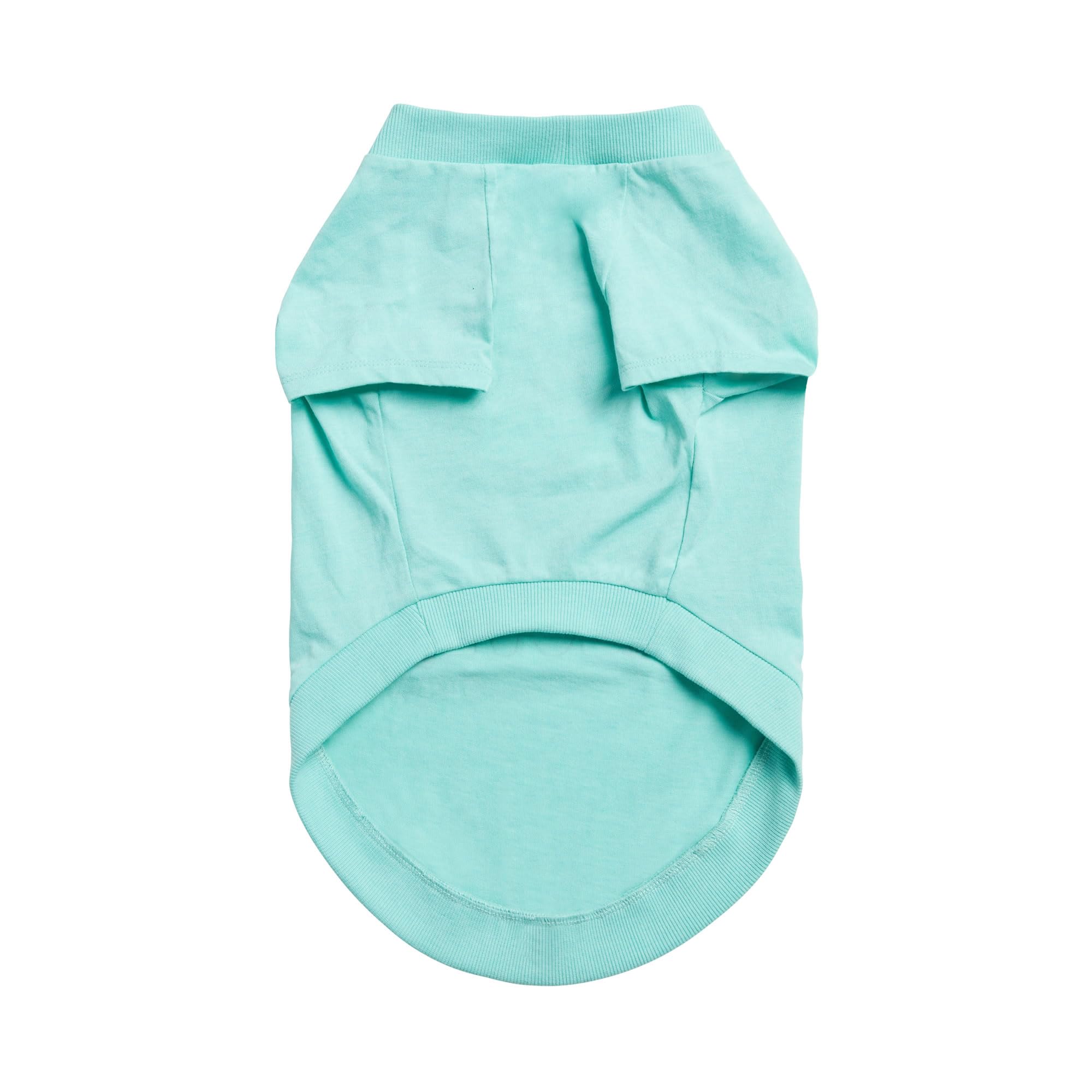 Gf Pet - Graphic Tee Dog T-Shirt (Heather Aqua, X-Large)