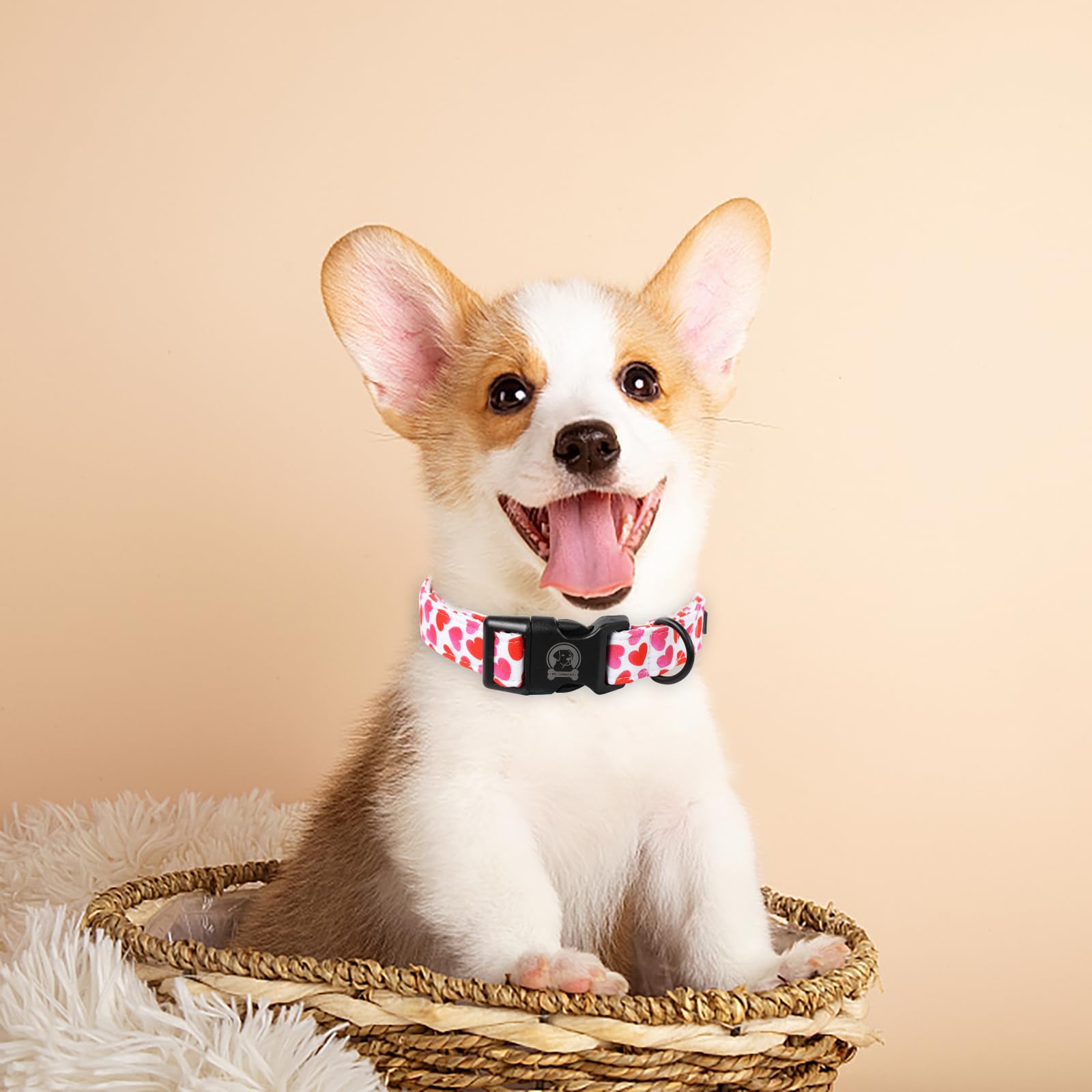 Mr. Chubbyface Valentines Dog Collar,Cute White Heart Cotton Dog Collar, Adjustable Valentine Girl Female Male Pet Collars With