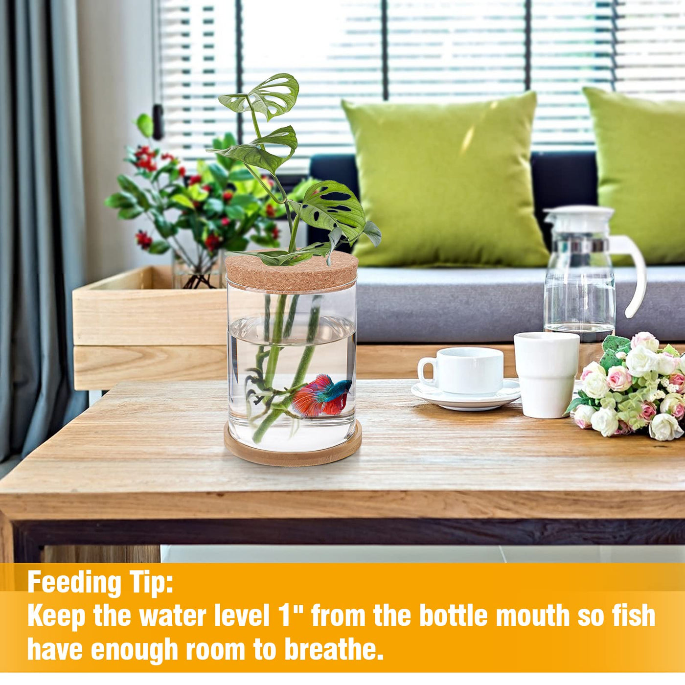 betta fish hydroponic plants Desktop Fish Bowl Glass- Small Betta Fish Tank With Lid, Clear Hydropo – Petocart