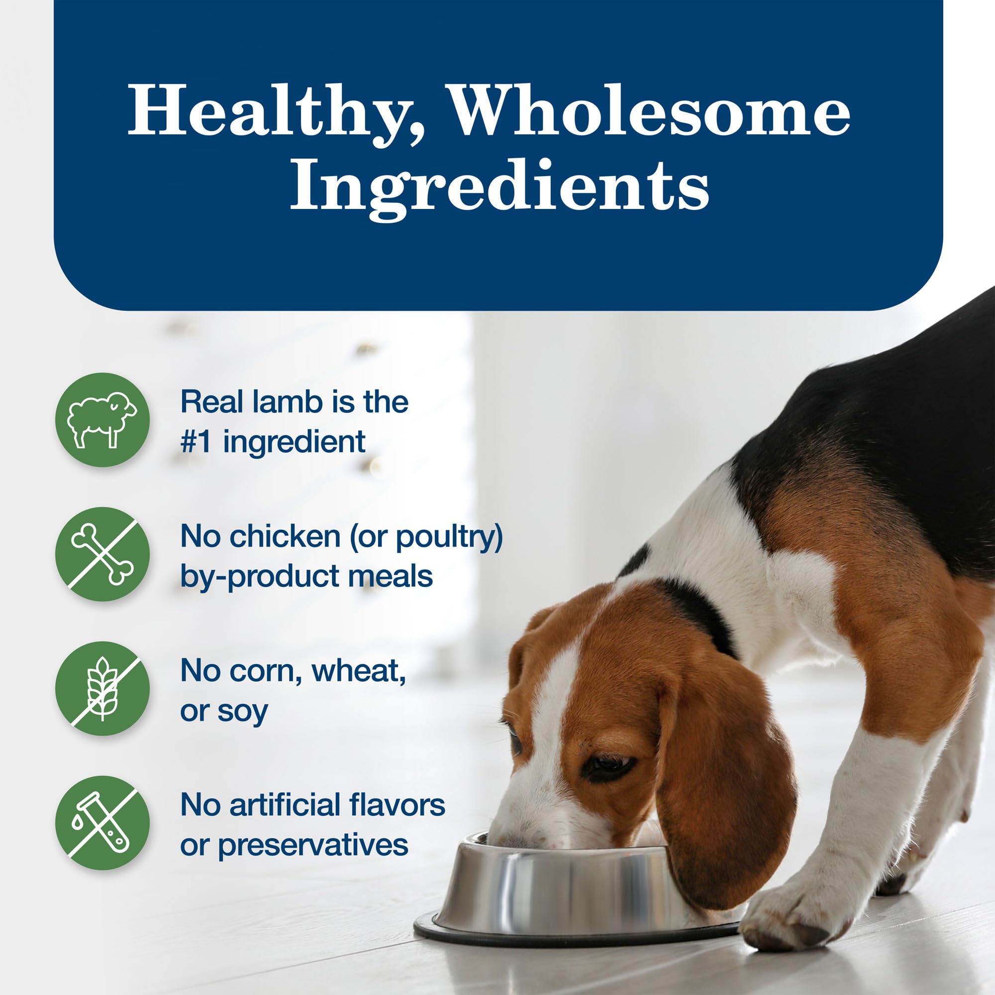 Blue Buffalo Homestyle Recipe Adult Wet Dog Food, Made with Natural Ingredients, Lamb Dinner With Garden Vegetables, 12.5-oz Can