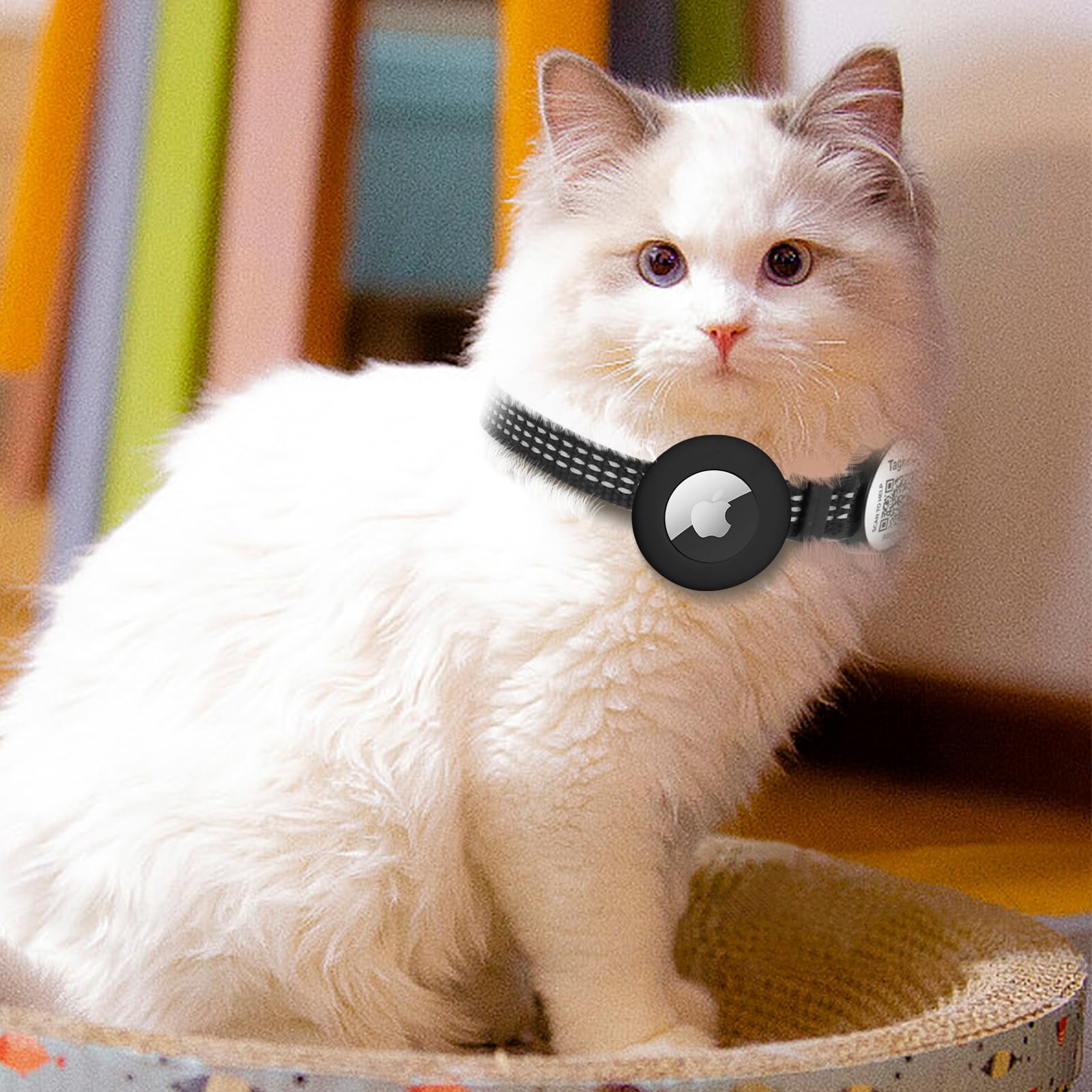 Reflective Cat Collar Personalized With Name Id Tag And Bell. Qr Code Name Tag, Cat Smart Id Tag Breakaway.Ultra-Durable, Adjust