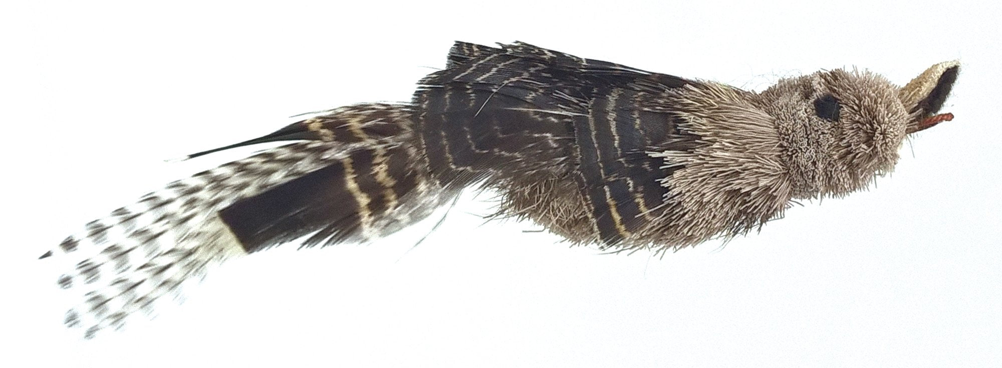 Big Sky Cats Bird And Bee Pack Refill/Attachment (Finch, Gila And Bee) - Fits Wildcat And Popular Bird And Mouse Type Wands/Poles