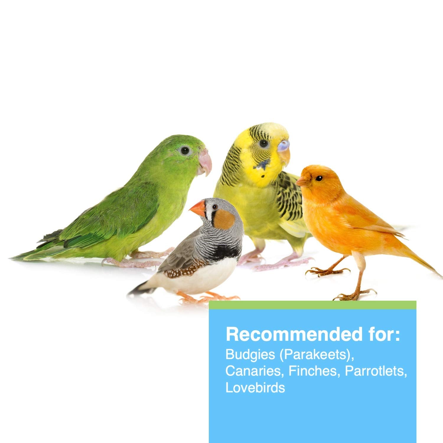 HARI Tropimix Bird Food for Budgies, Canaries And Finches, Hagen Parrot Food with Seeds, Egg, Fruits and Vegetables, Egg Food Mi