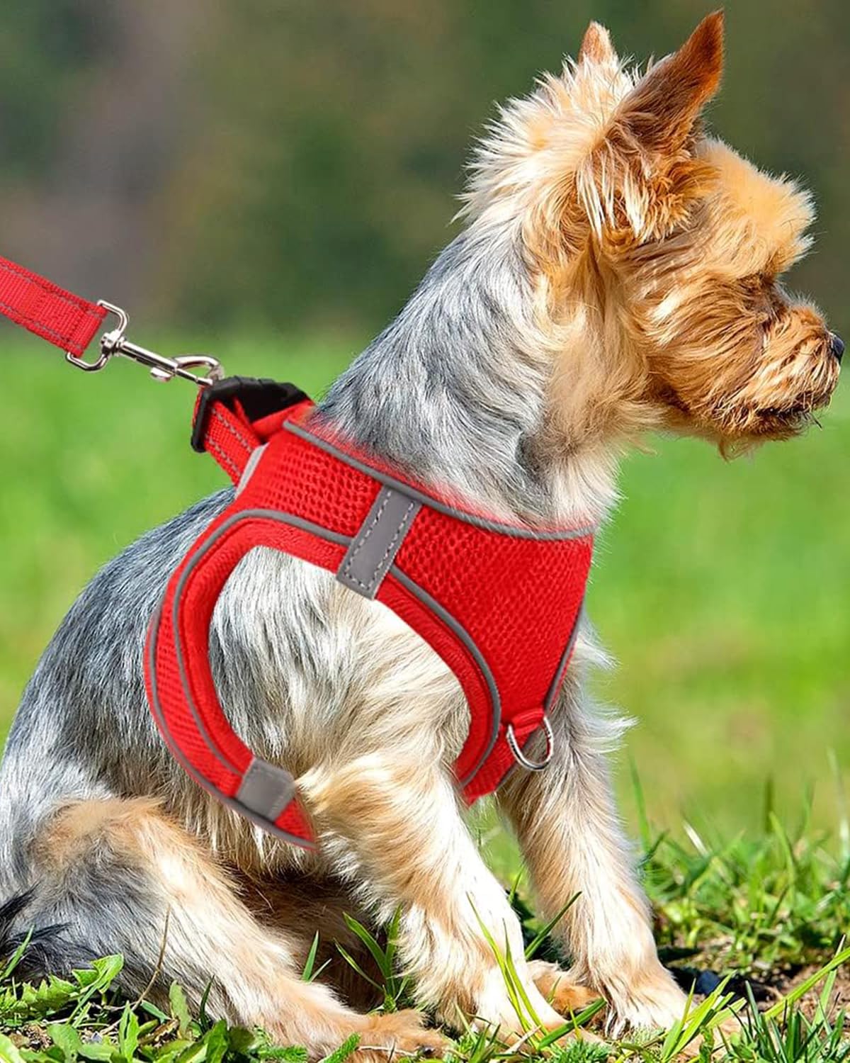 Joytale Small Dog Harness, Breathable Mesh Step-In Vest, Reflective Soft Padded Harnesses Small Sized Dog For Walking, Red, S