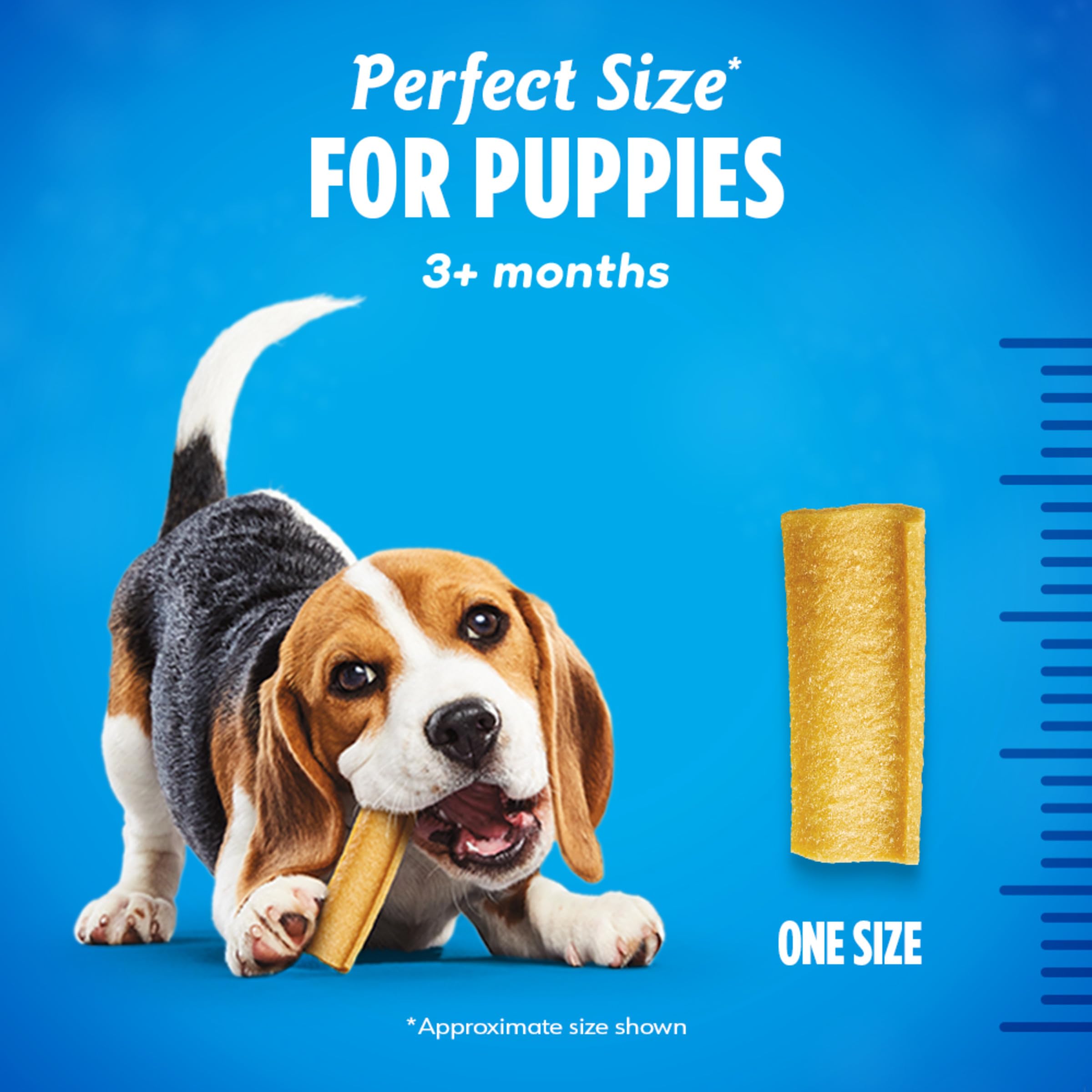 Dentalife Puppy Teething Dog Chews for Small Dogs 3 Months and Up, Chicken Flavor, 1.08 lb., 50 Chews - 50 ct. Pouch