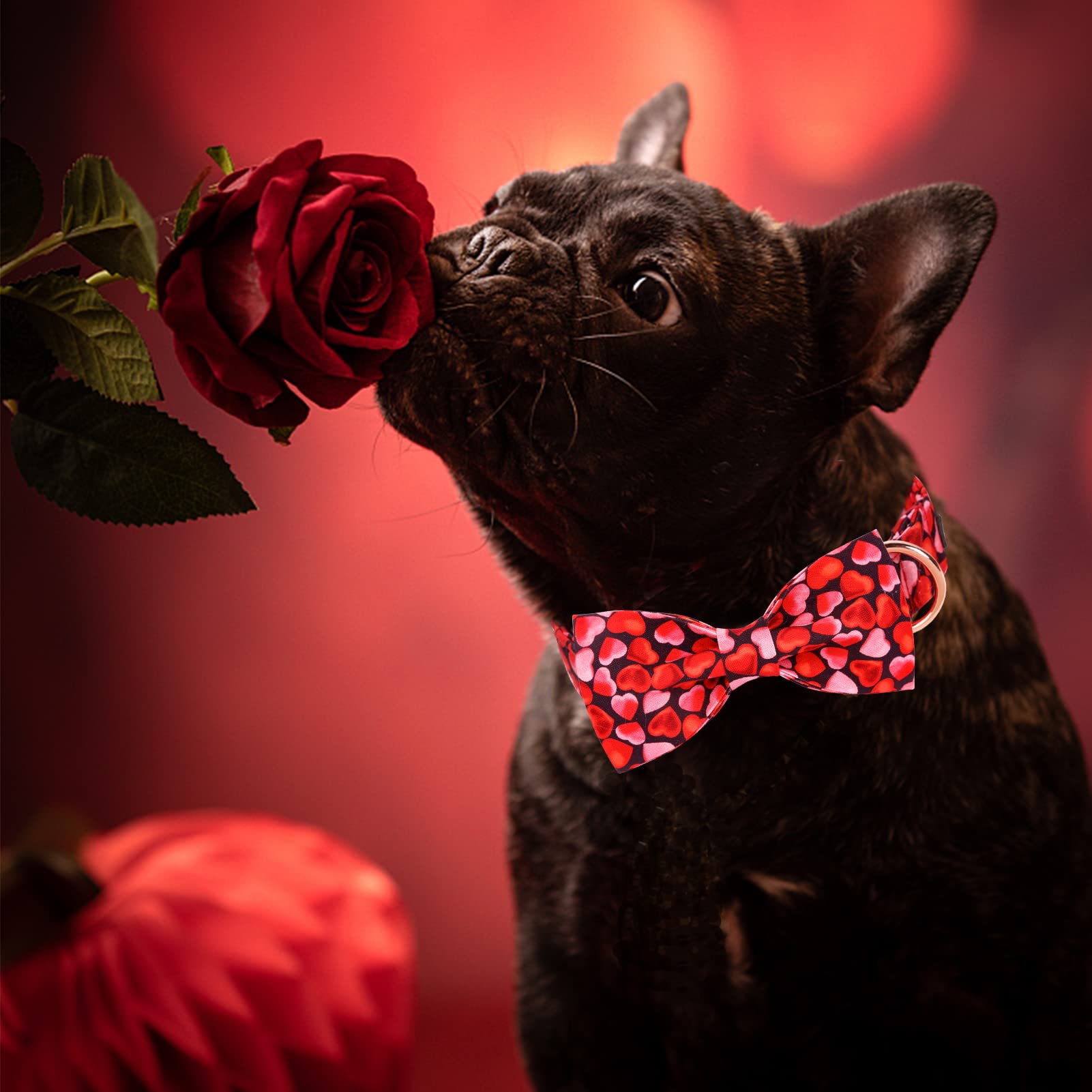 Mr. Chubbyface Valentine Dog Collar Pink Love Dog Collar With Bow Adjustable Dog Collar Bowtie For Small Medium Large Dogs