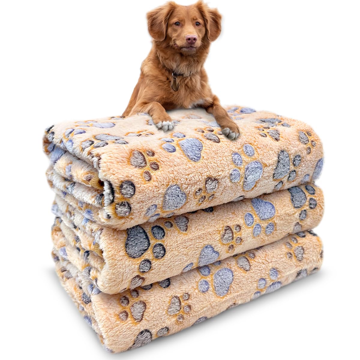 Dog Blankets For Medium Large Dogs, 3 Pack Pet Blanket Washable 41'' X 31'', Fuzzy Soft Puppy Throw Cover For Kennel Crate Bed