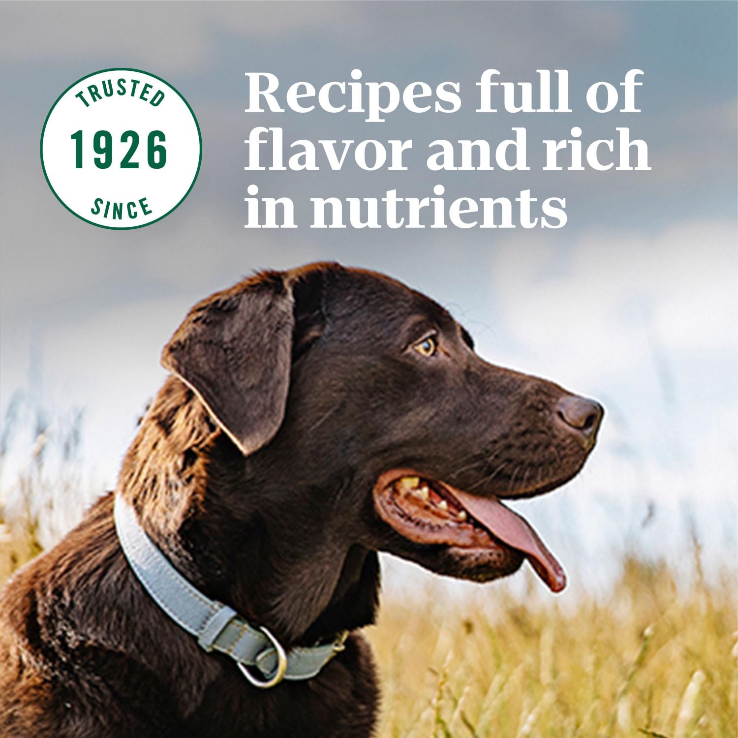 NUTRO NATURAL CHOICE Adult Dry Dog Food, Lamb & Brown Rice Recipe Dog Kibble, 40 lb. Bag