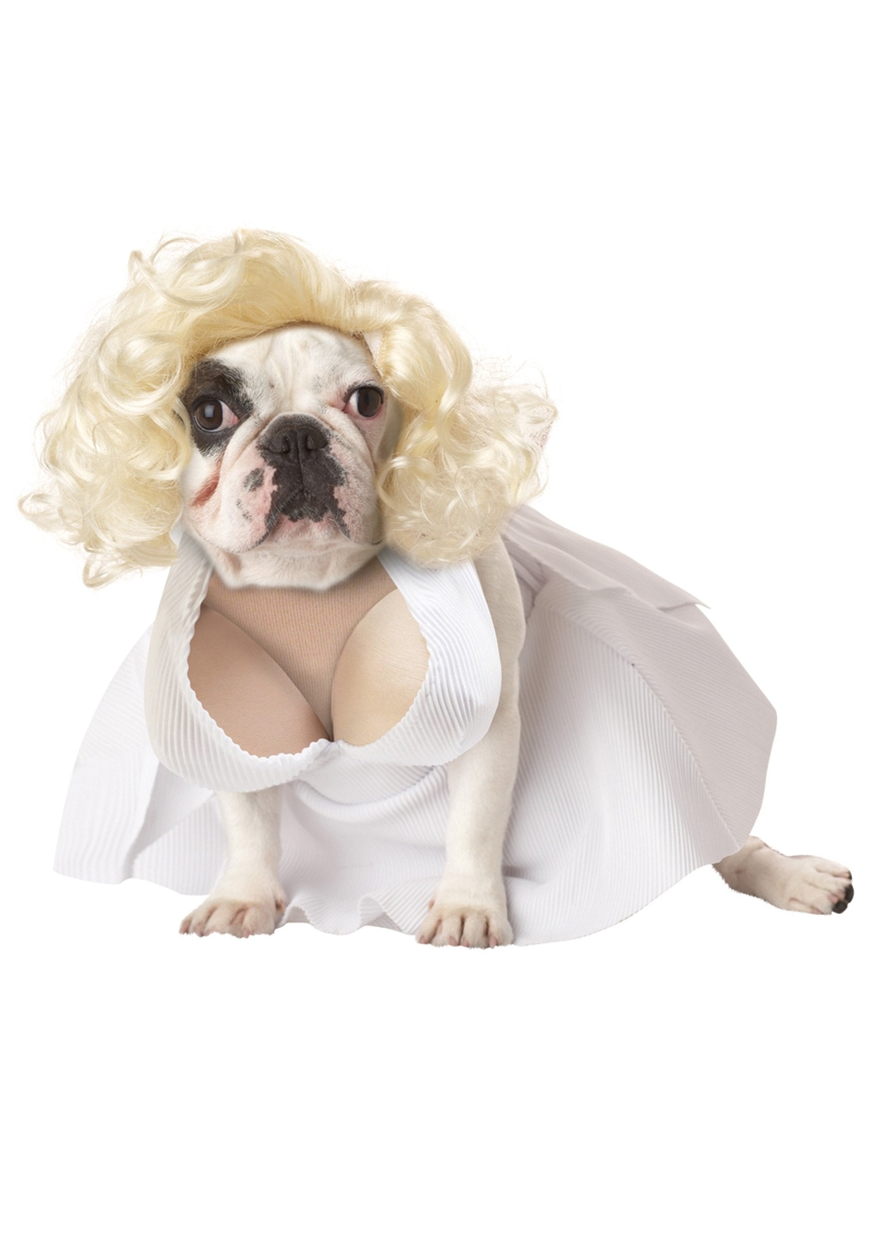 California Costume Collections Pet Silver Screen Starlet Dog Costumes, White, X-Small Us