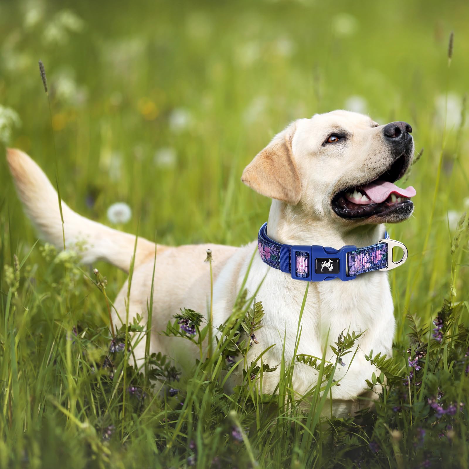 Onefojojo Reflective Dog Collar With Boho Flowers Patterns, Cute Girl & Female Dog Collar Adjustable With Soft Quick Release Col