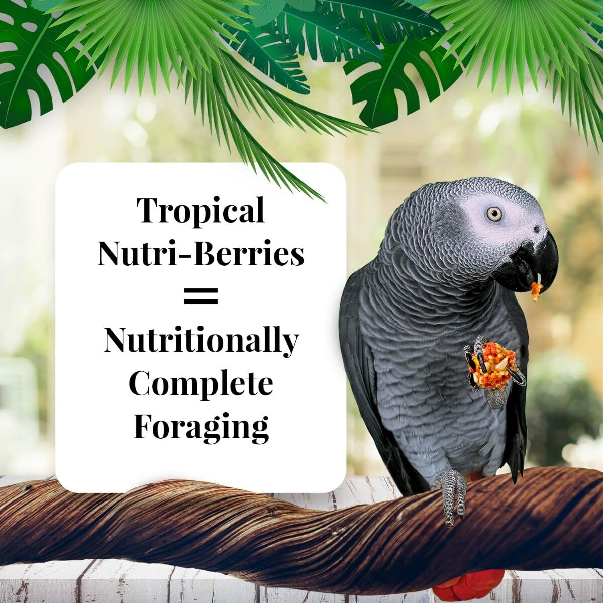 LAFEBERS Tropical Fruit Nutri-Berries Pet Bird Food, Made with Non-GMO and Human-Grade Ingredients, for Parrots, 3 lb