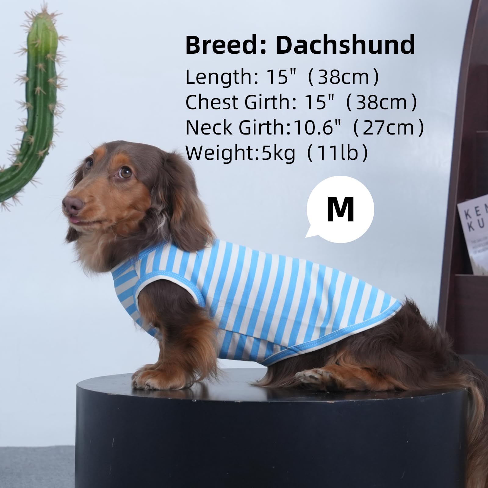 3 Pack Blue Striped Dog T-Shirt For Small Dogs,Medium Sleeveless Lightweight Tee Shirt For Summer Outdoor Spring Picnic Sun Prot