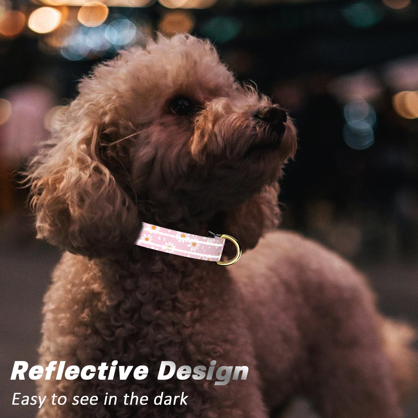 Tmoodel Reflective Dog Collar For Extra Small Dogs, Cute Daisy Theme Adjustable Heavy-Duty Nylon Puppy Collar For Boy And Girl F