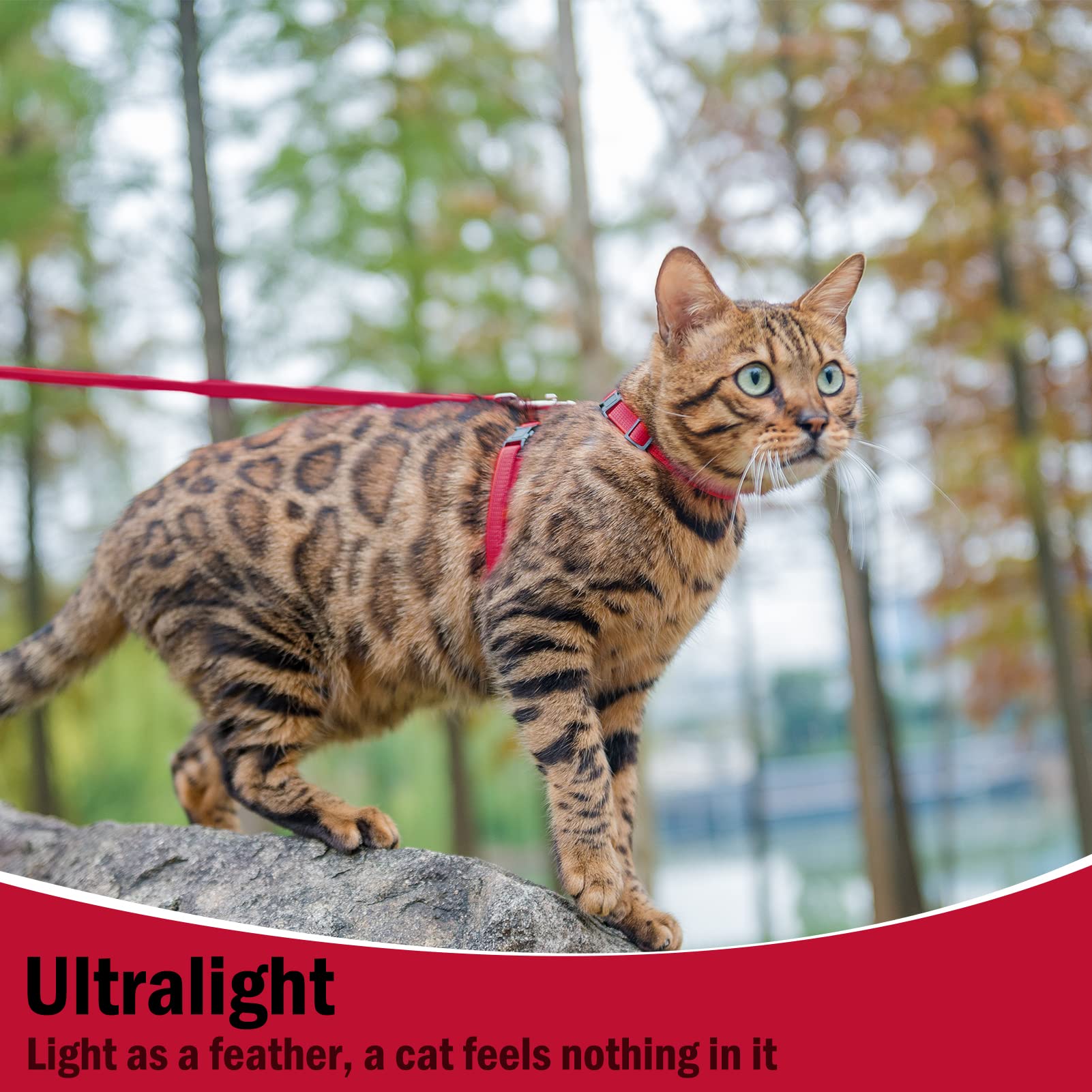 Pupteck Adjustable Cat Harness And Leash Set Escape Proof Kitten Strap Collar For Walking Travel, Red