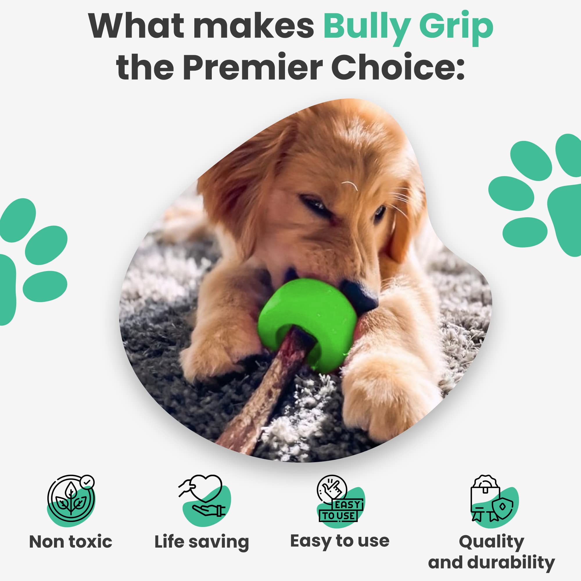 Bully Stick Holder for Dogs - Small Size - Interactive Dog Toy, Dog Treat Holder, Slow Feeder, Treat Dispenser, Chew Toy and Dog
