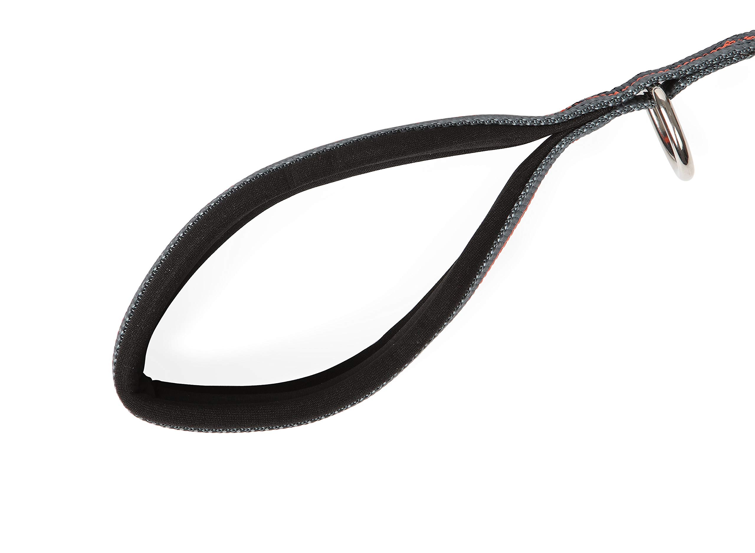 Dexas Double Handled Reflective Dog Leash, Large