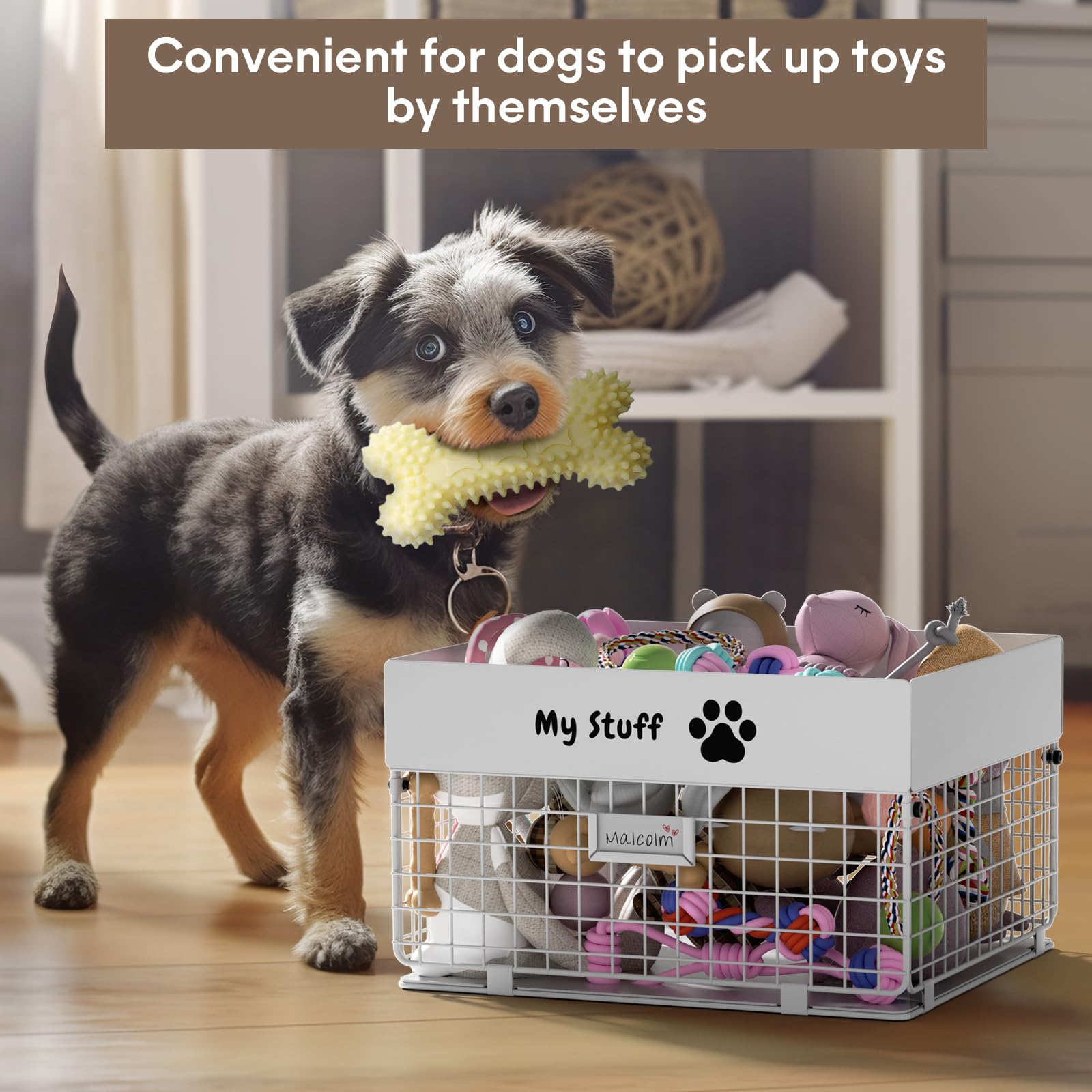qeerable Dog Toy Box- Metal Large Dog Toy basket for Small Dog - Dog Toy Storage Bin for Pet - Personalized Large Dog Toy Basket