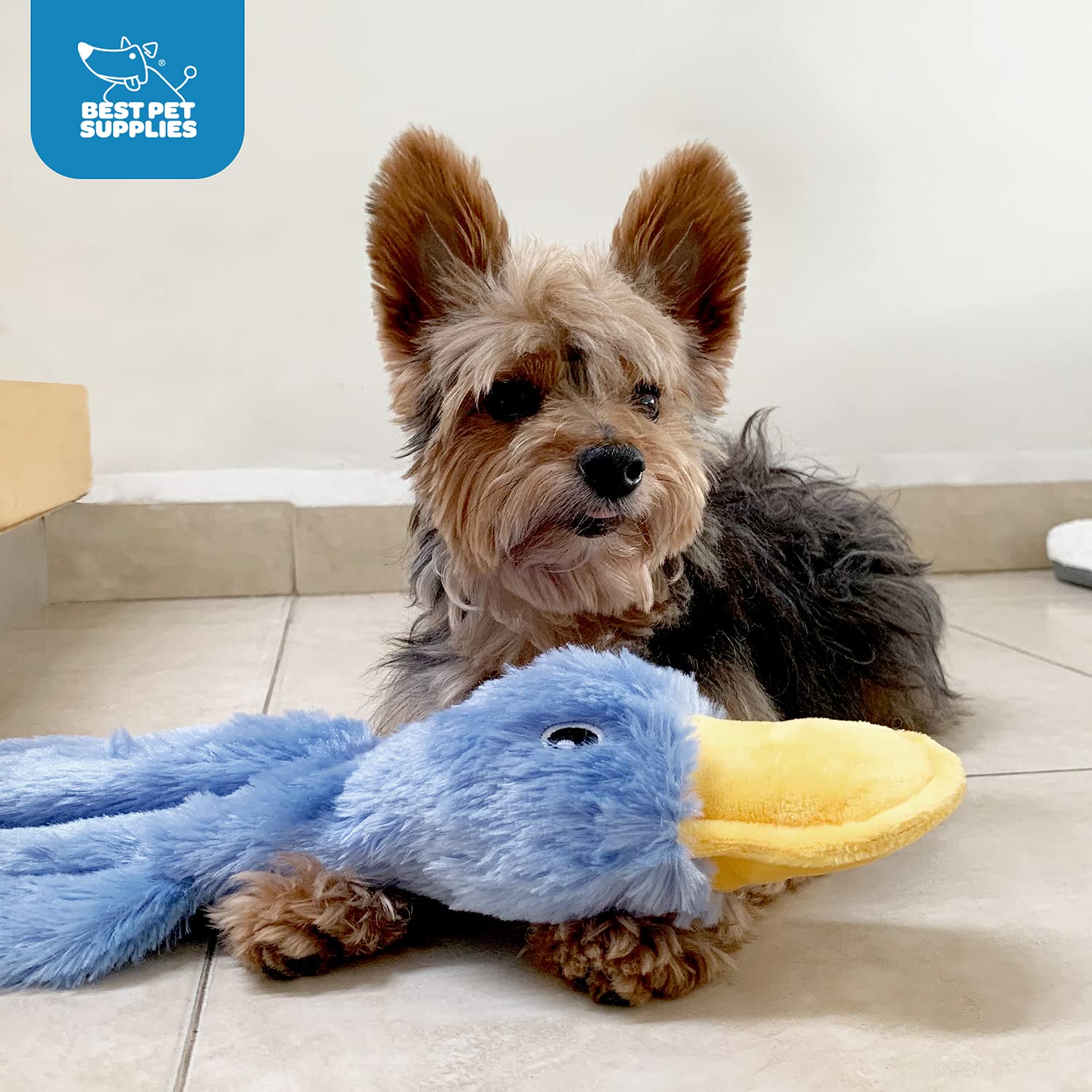 Best Pet Supplies Interactive Mallard Mates Dog Toy With Crinkle And Squeaky Enrichment For Small And Medium Breed, Cute And Plu