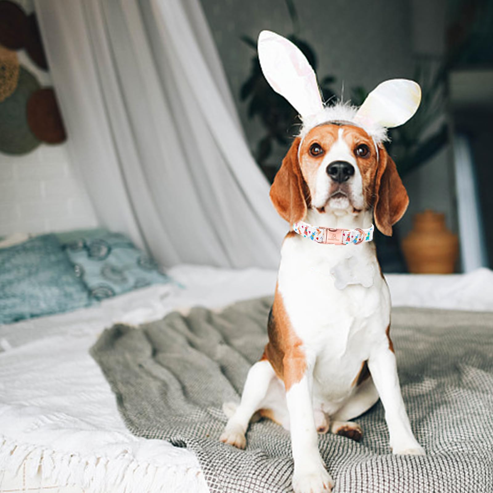 Lionheart Glory Easter Collar Rabbit Print Dog Collar For Large Cute Dog Collars Spring Female Or Male Pet Gift Adjustable Heavy
