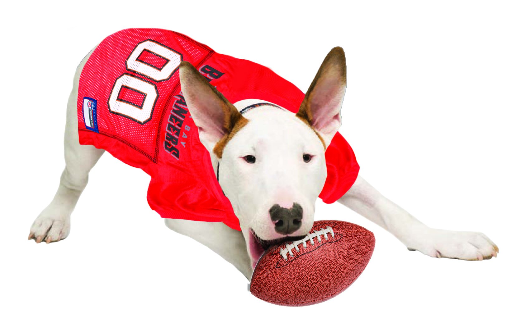 Nfl Tampa Bay Buccaneers Dog Jersey, Size: Small. Best Football Jersey Costume For Dogs & Cats. Licensed Jersey Shirt