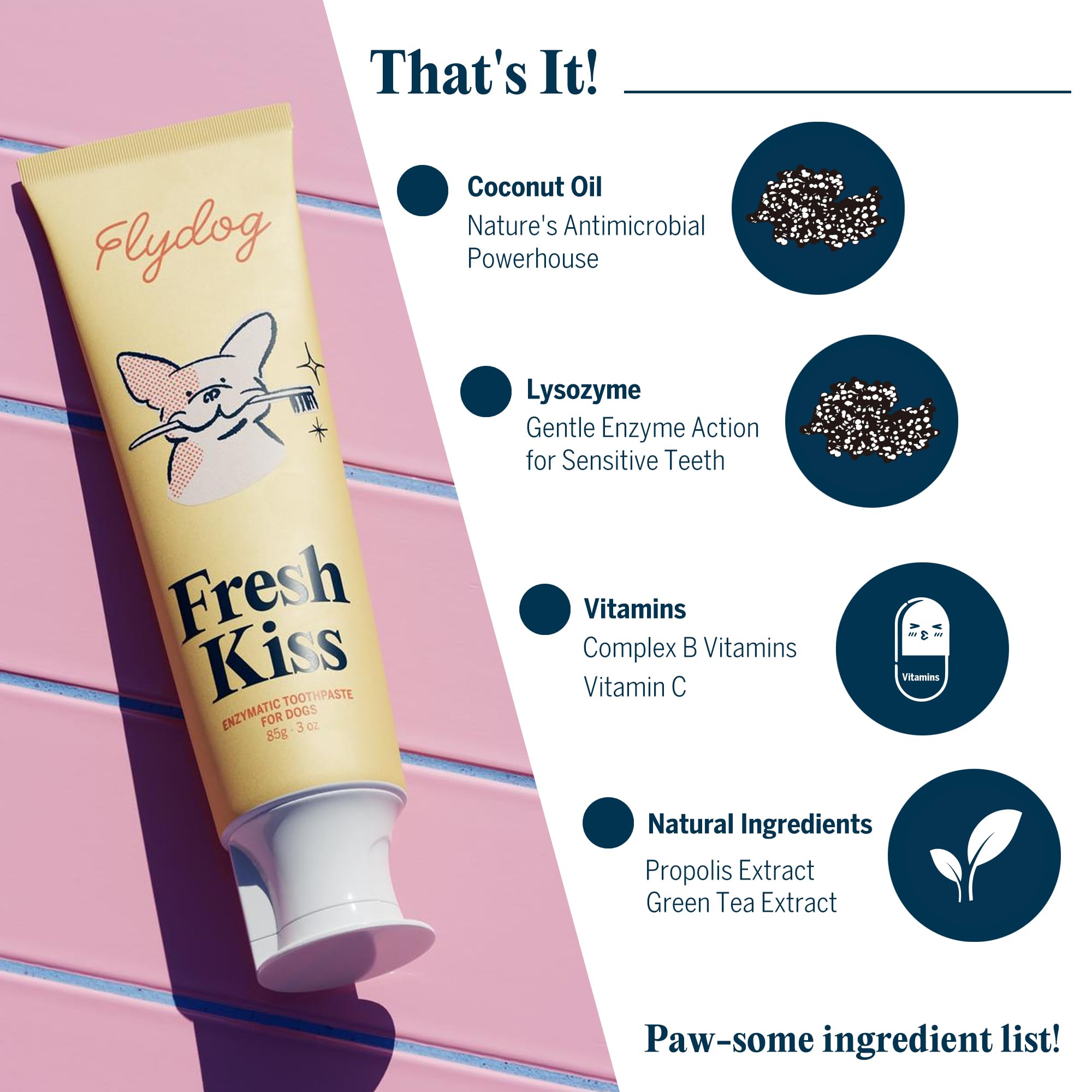 FlyDog Fresh Kiss Dog Tooth Brushing Kit - Vet Approved Enzymatic Toothpaste & 360° Brush - 3 oz (Pack of 2)