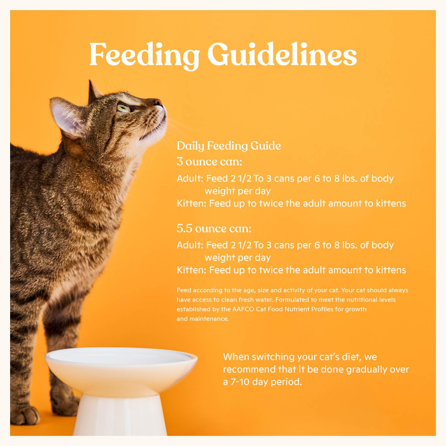 Made by Nacho Premium Minced Wet Canned Cat Food with Hydrating Bone Broth 5.5oz (12 Packs) (Variety Pack (Turkey & Turkey Liver