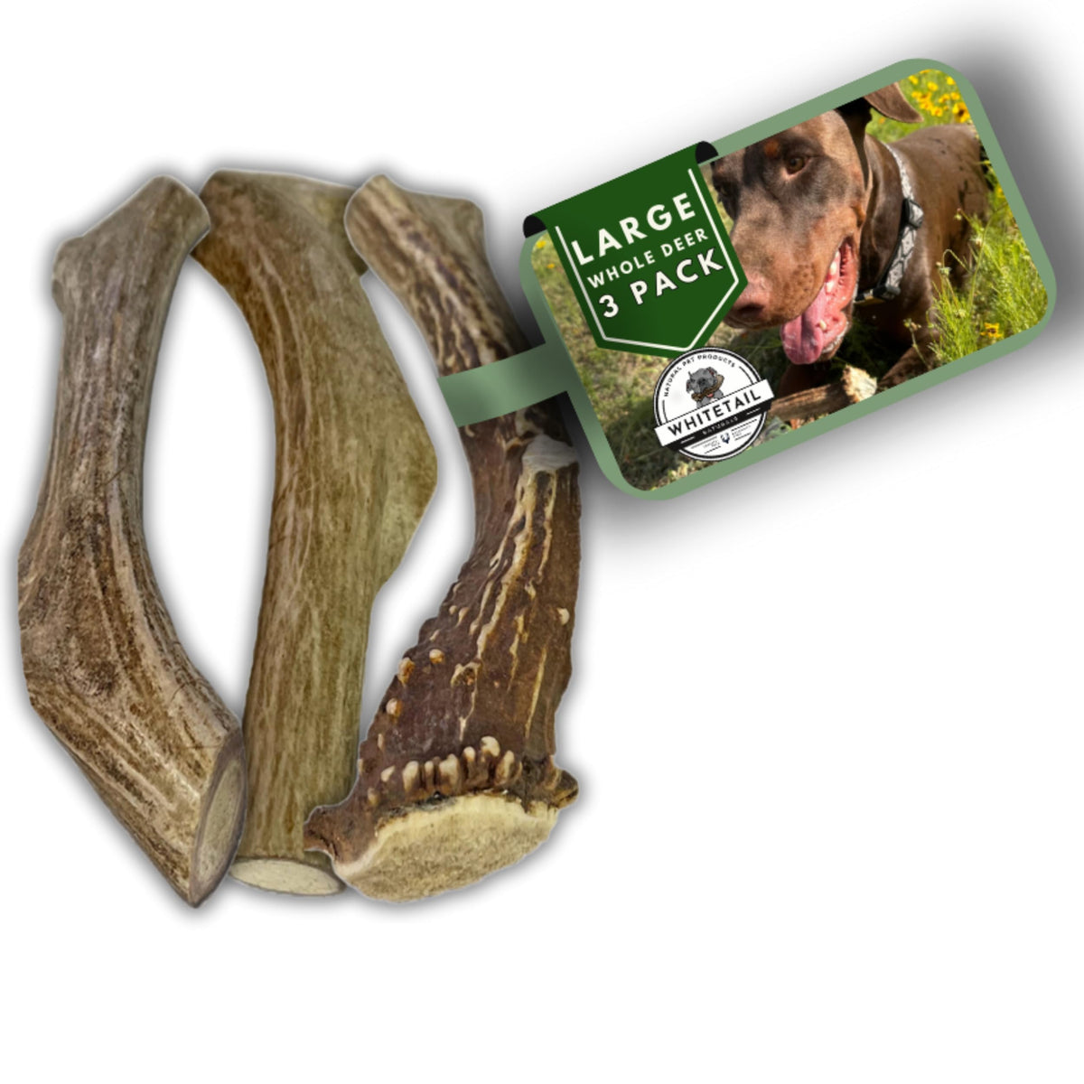 WhiteTail Naturals (3 Pack Deer Antlers for Large Dogs, Antler Dog Chews - Crafted in USA Dog Antler - Long Lasting Bone for Agg