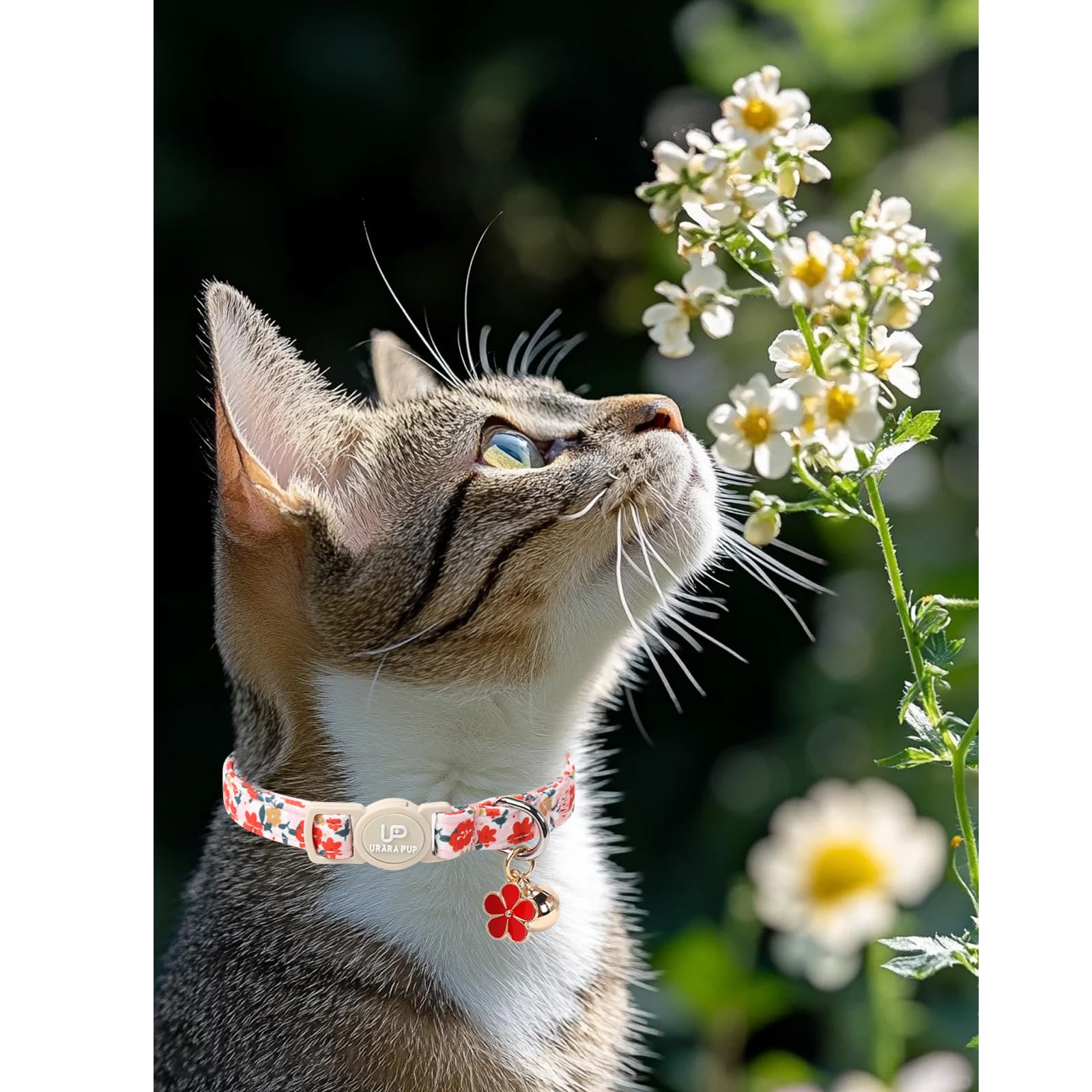 Up Urara Pup Cat Collar,2Pack Summer Cat Collars Cute Breakaway,Spring Green Leaf Flower Kitten Collar With Bell, Kitty Collars