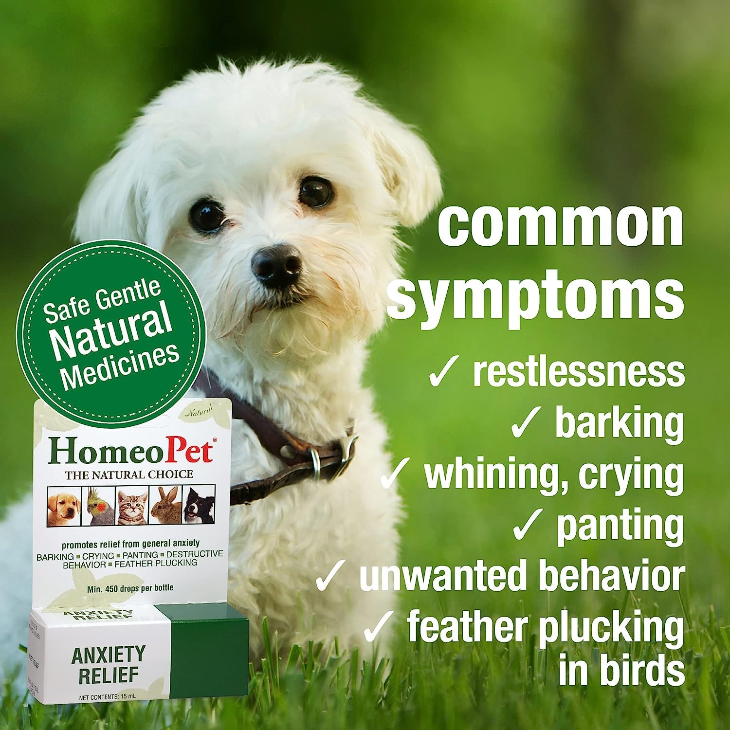 Dog Homeopet Anxiety Relief