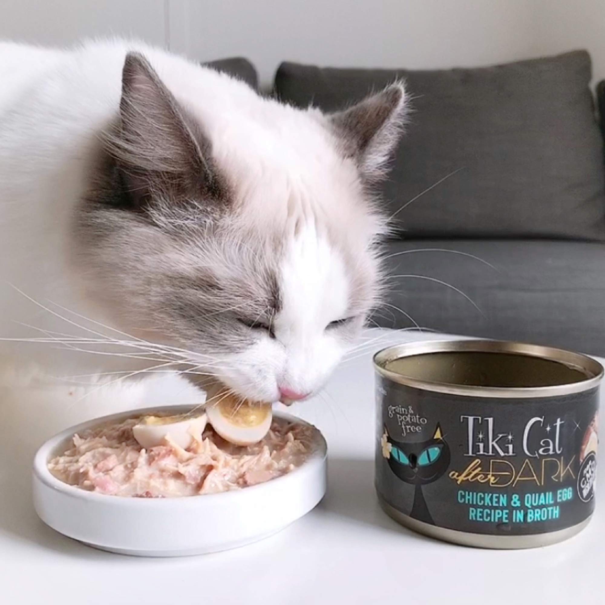 Tiki Cat Chicken Craves Whole Food, Ultimate Variety Pack, 36 Servings of High Protein Meals with Shredded Chicken, Wet Cat Food