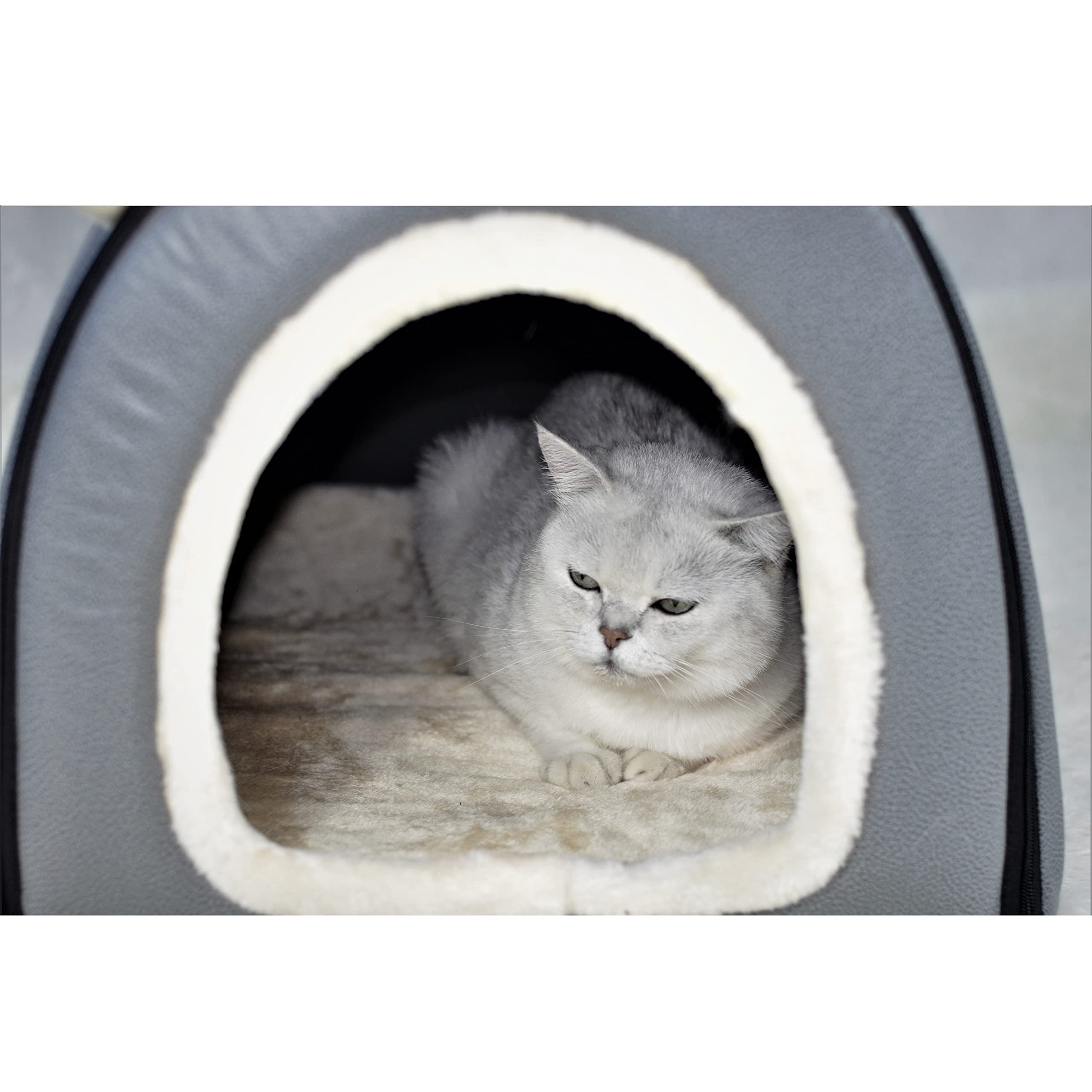 Dog Bed,2 Ways to Use,Indoor Pet House with Fluffy Mat,Removable and Washable Cover,Splash-Proof House and Non-Slip Bottom,for L