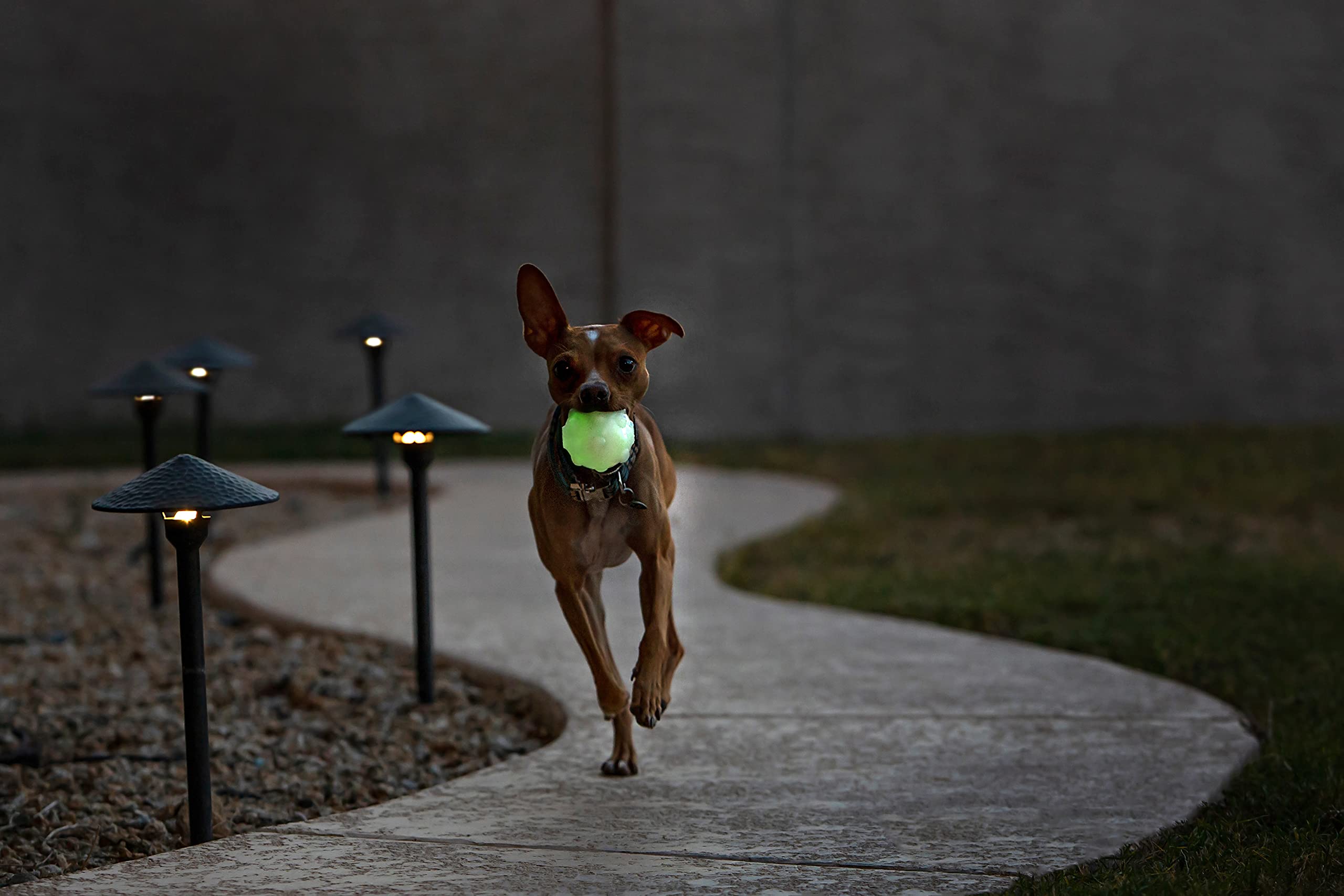 Jolly Pets JJ03 GLOW 3'' Jumper Pet Toy Balls, Small