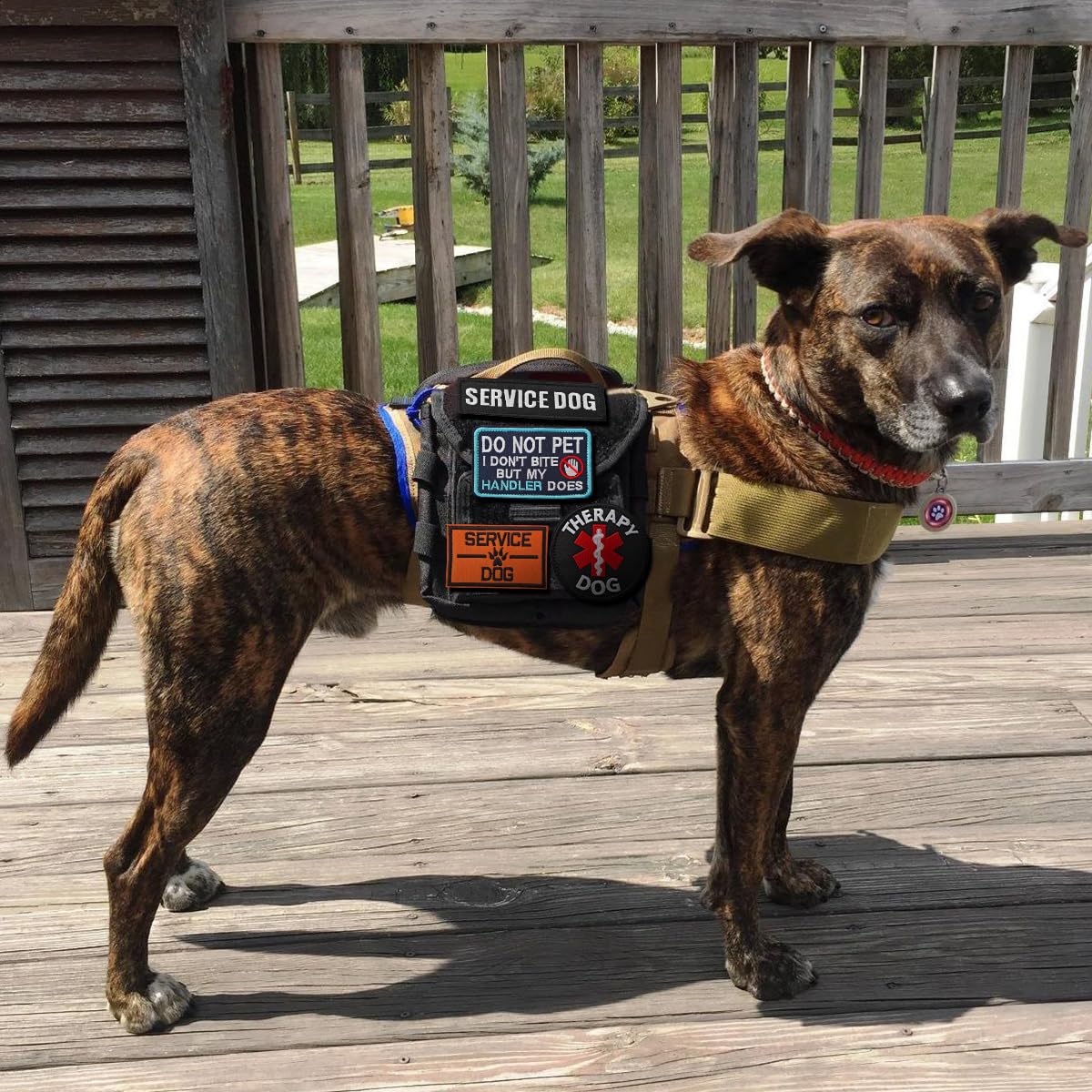 Zesion 10 Pcs Of Service Dog Patch, Removable Embroidered Hook And Loop Patch For Dog Vest Carrier, Tactical Vest Patch, Collar/