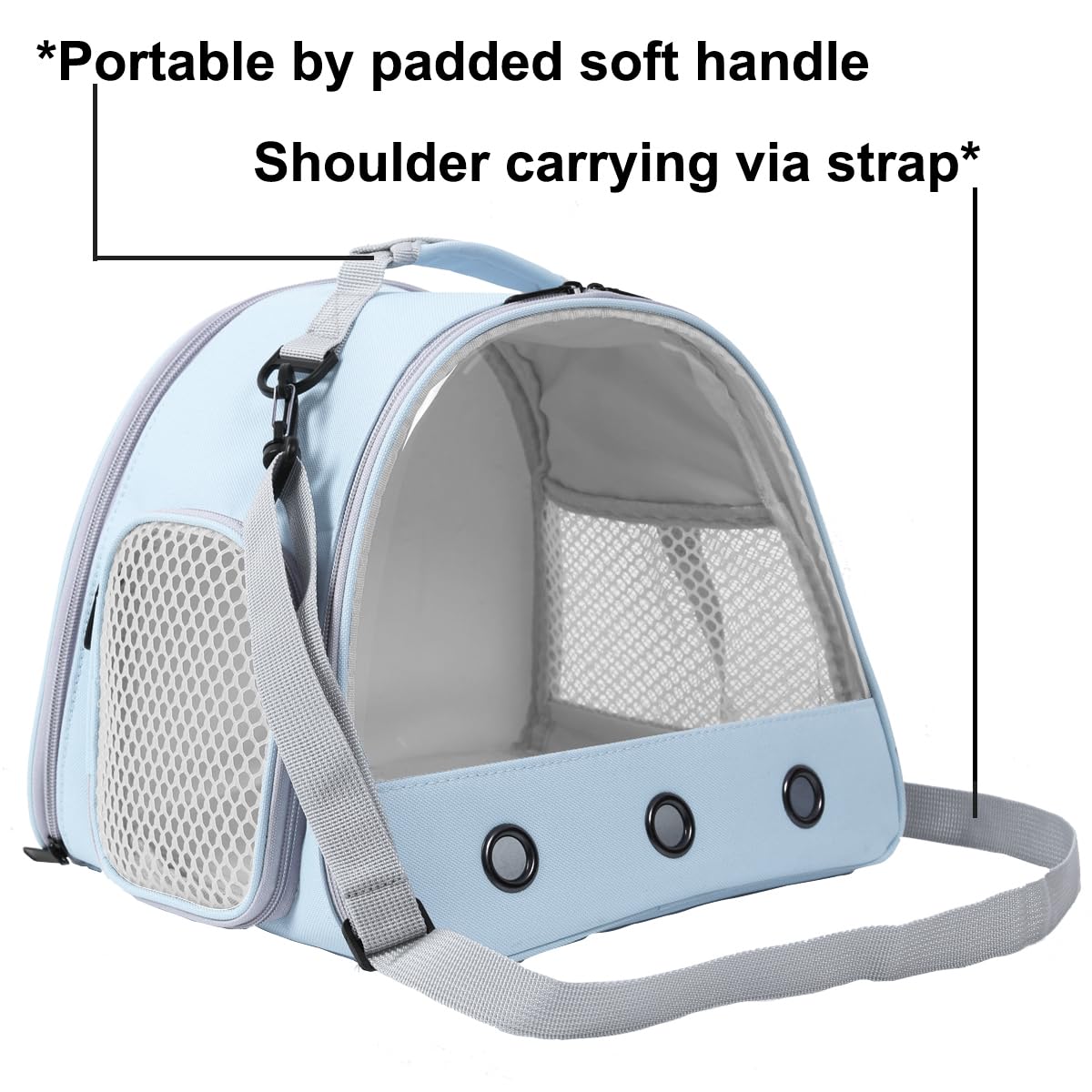Bearded Dragon & Lizard Carrier - Portable Travel Carrier For Hedgehog, Rat, Parrot, Bird & Guinea Pig (Blue, 2)
