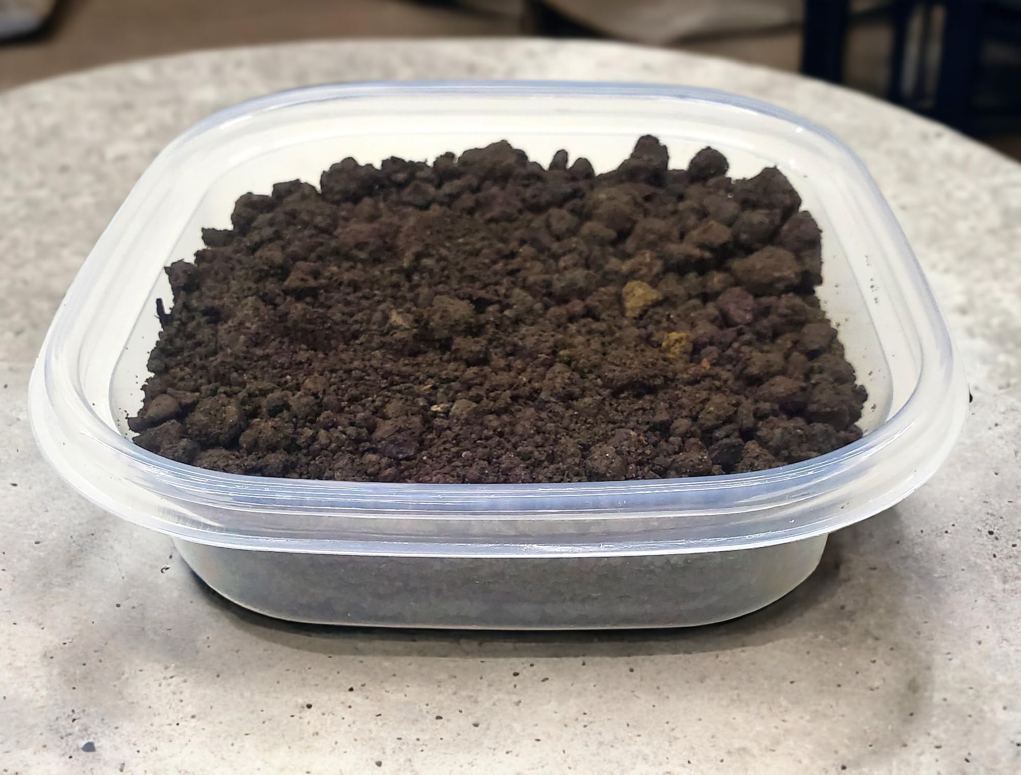 G&T Country Living Cricket Colony Starter Kit for Breeding Feeder Crickets (1-Tub Setup) - Easy Habitat for Reptile Owners, Inse