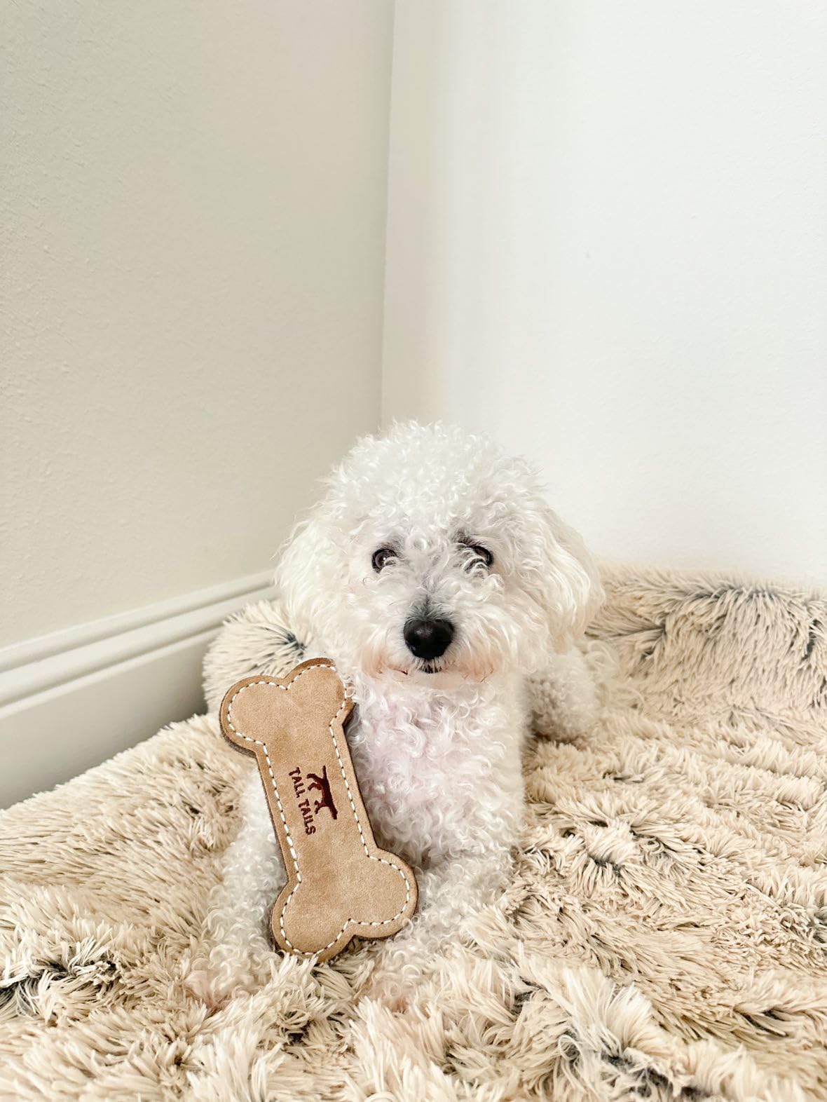 Tall Tails Dog Natural Leather Bone Fetch Toy Gift For Dogs 6 Inches