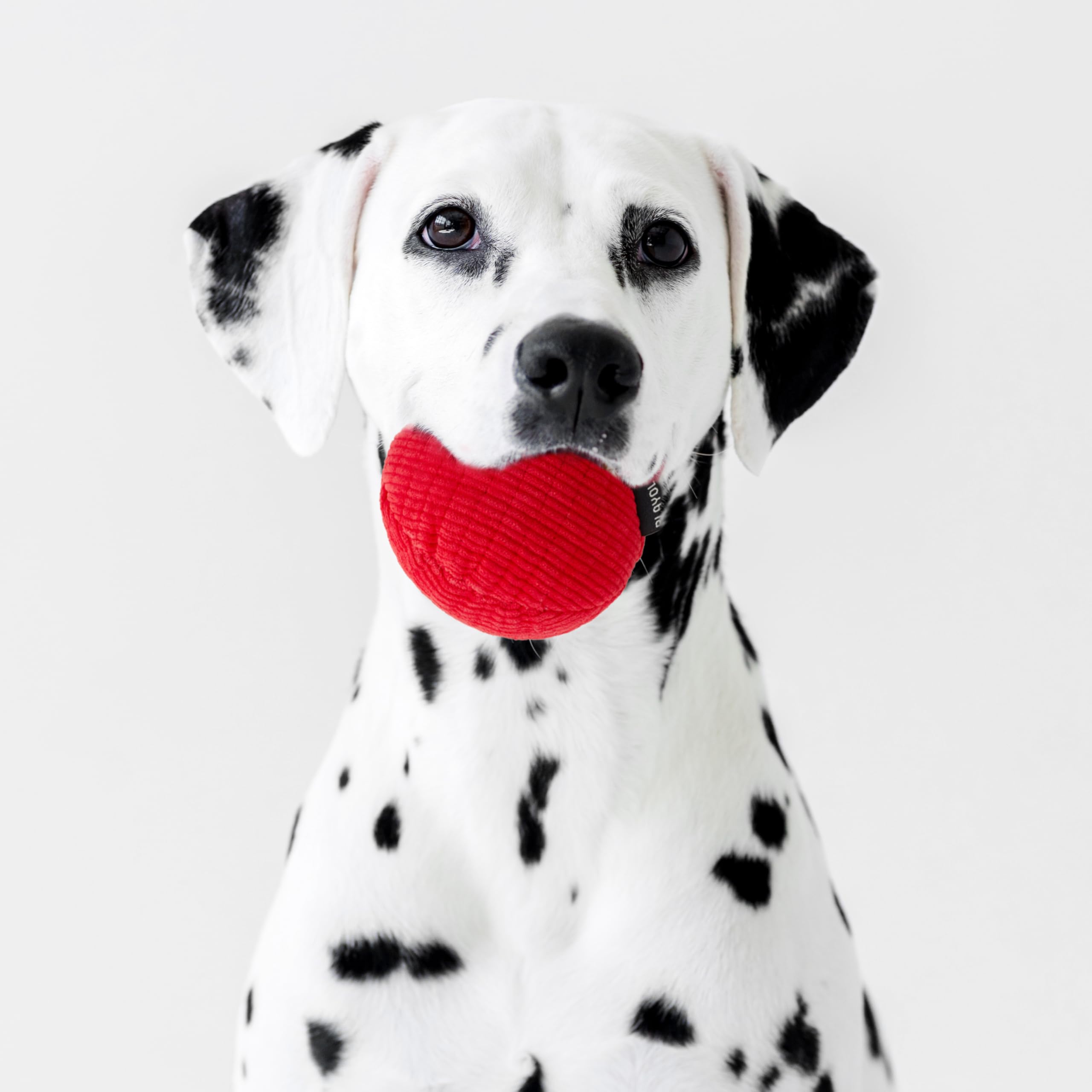 Playology Plush Squeaky Ball | Engaging All Natural Beef Scented Plush Dog Toy With Interactive Squeaker For Large To X-Large Do