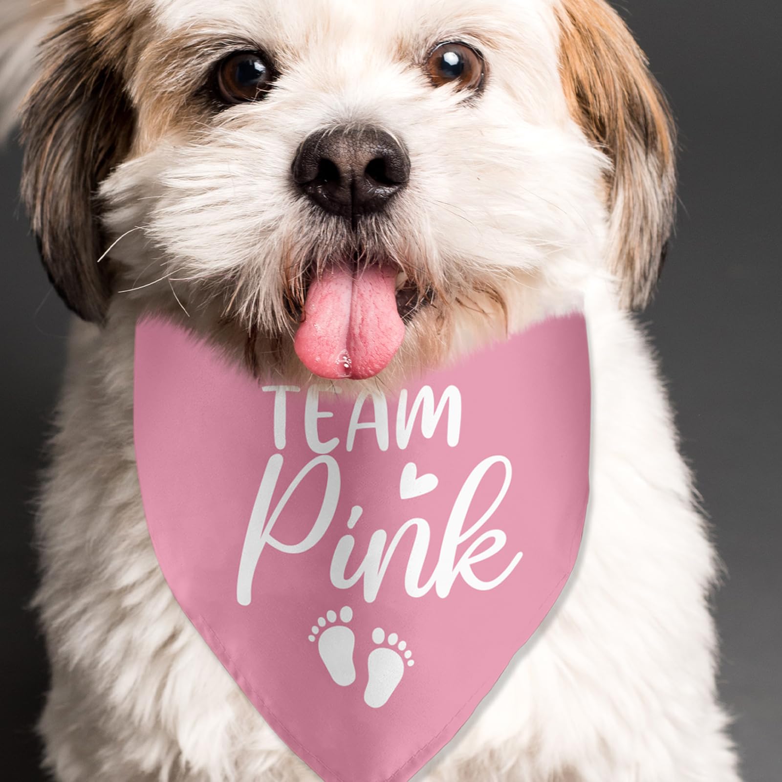 Lmaurrizt Team Pink Dog Bandana Gender Reveal Baby Announcement Dog Bandana Pregnancy Announcement Pet Scarf Pet Accessories For